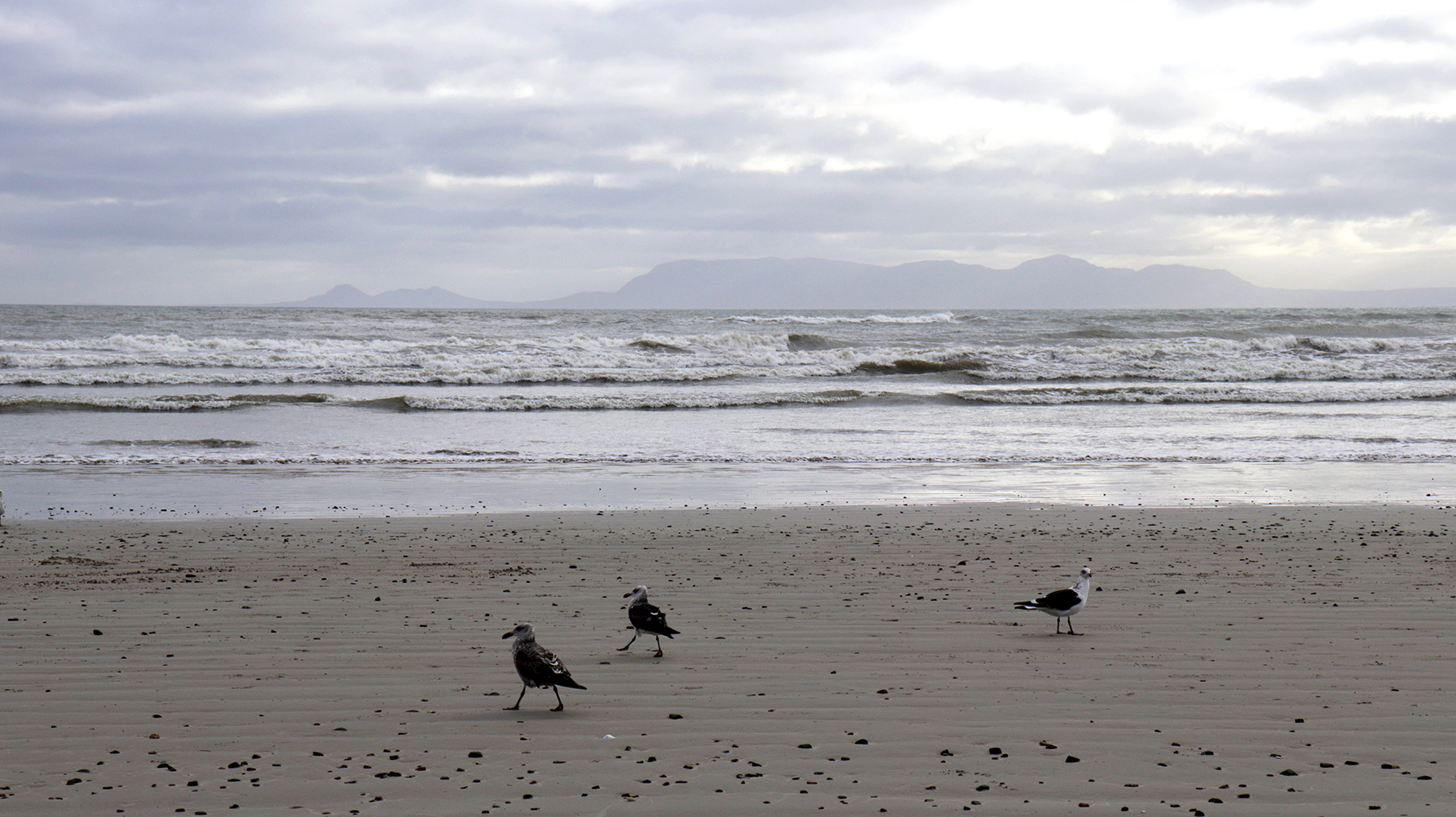 After bacterial infections, Strand beachgoers call for effective water-quality flag system