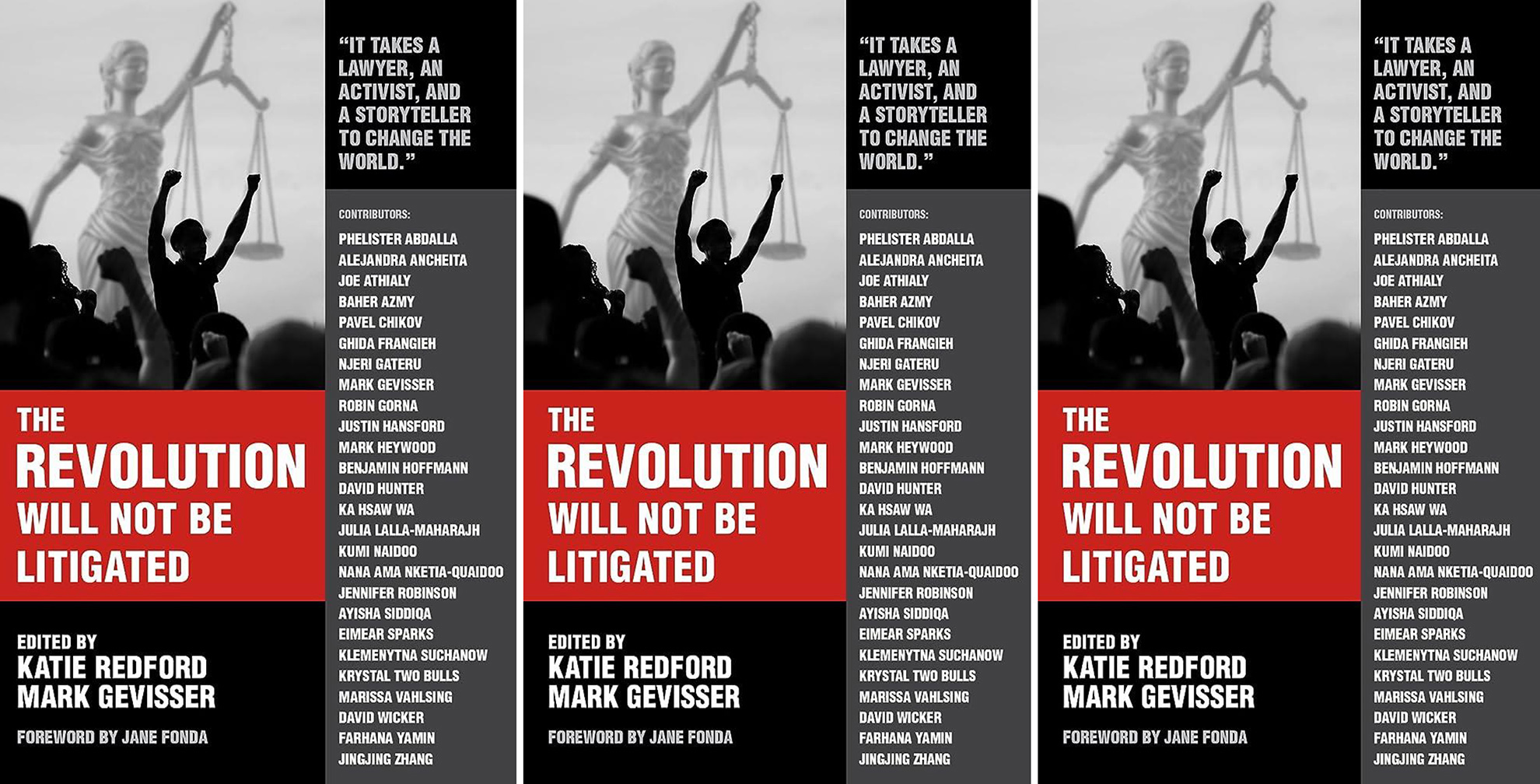 Social justice - 'It takes a lawyer, an activist and a storyteller to change the world'