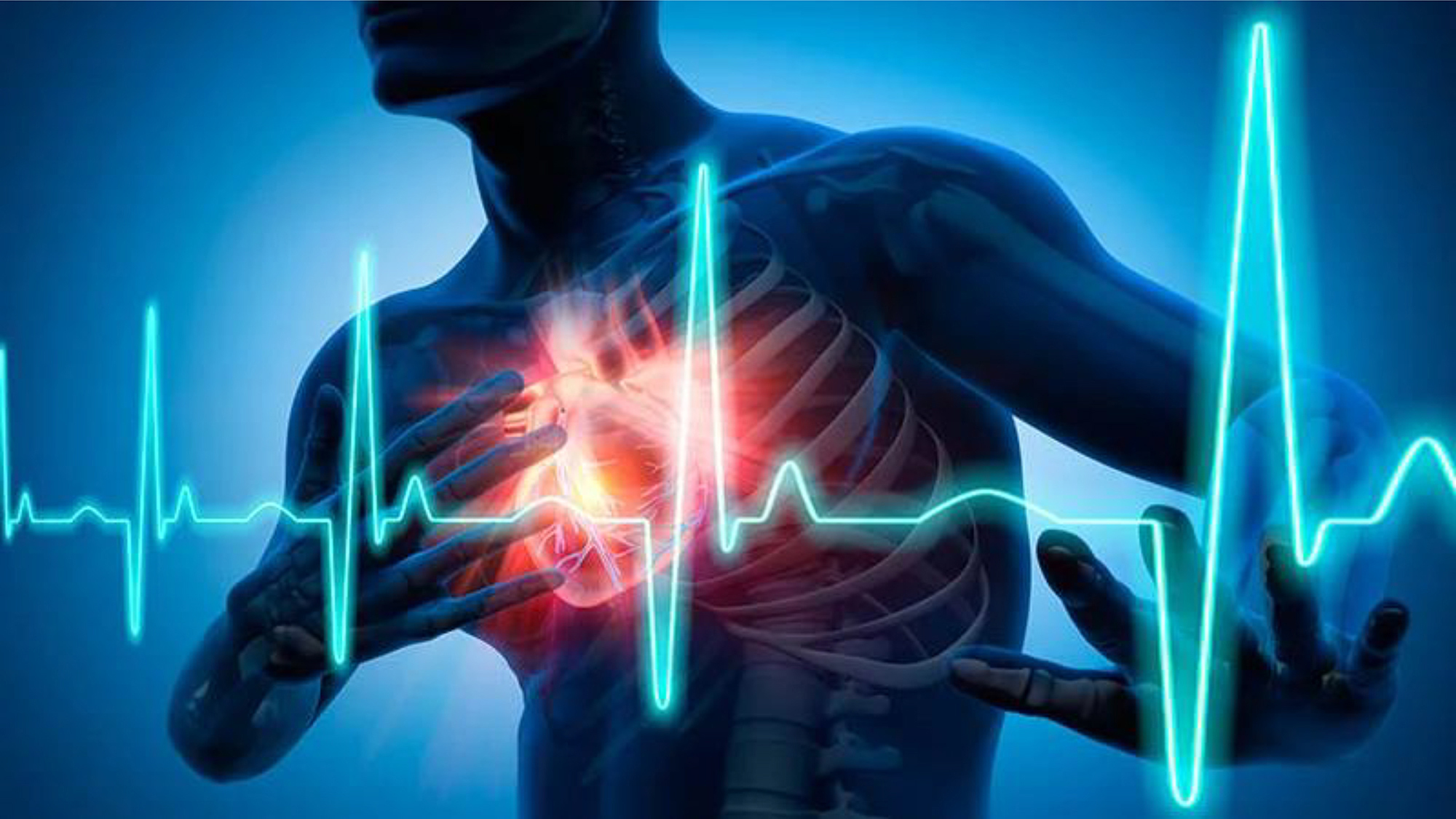 Cardiovascular disease among top three causes of death - why you need to know your VO2 max metric
