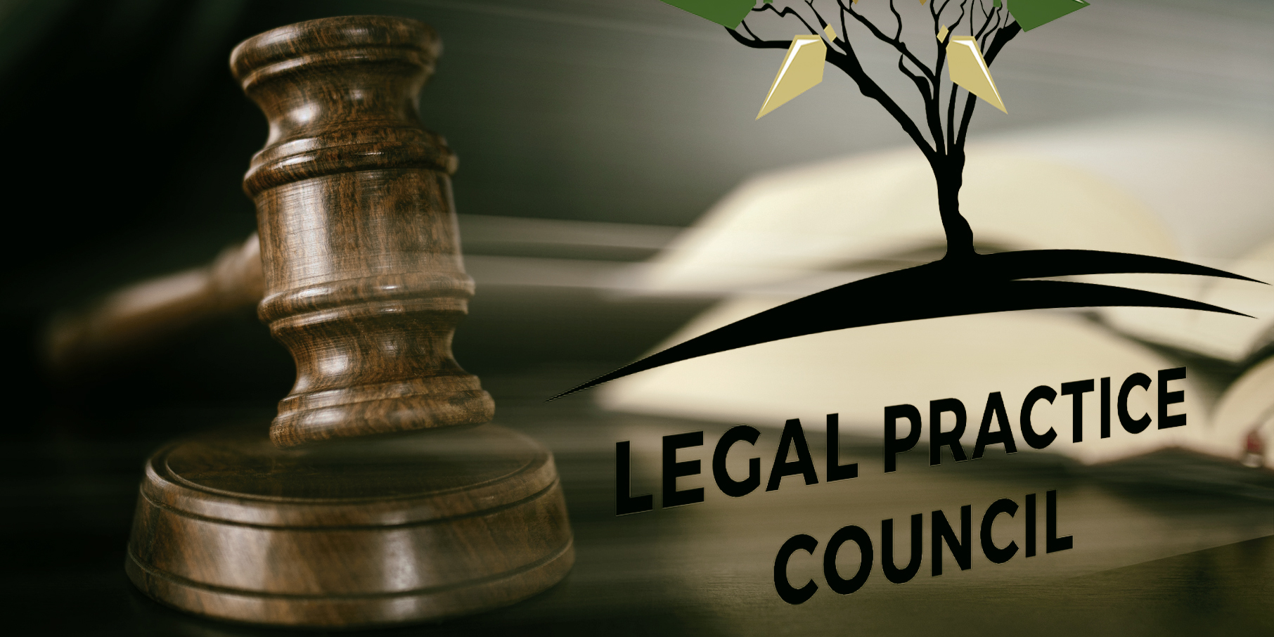 It’s time the Legal Practice Council stepped up to do its duty