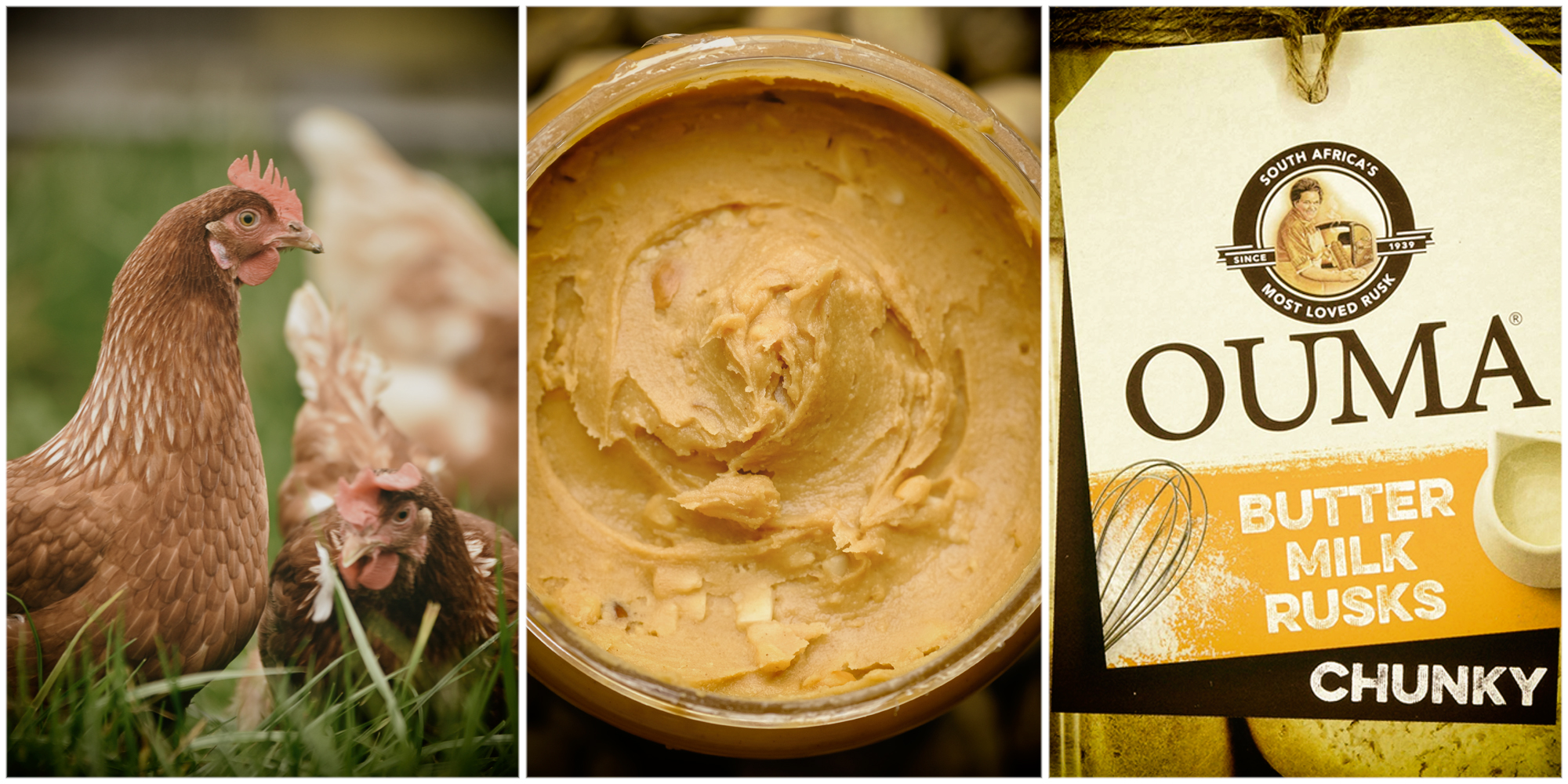 SA food producers RCL, AVI and Sea Harvest hit by rolling blackouts and surging operating costs