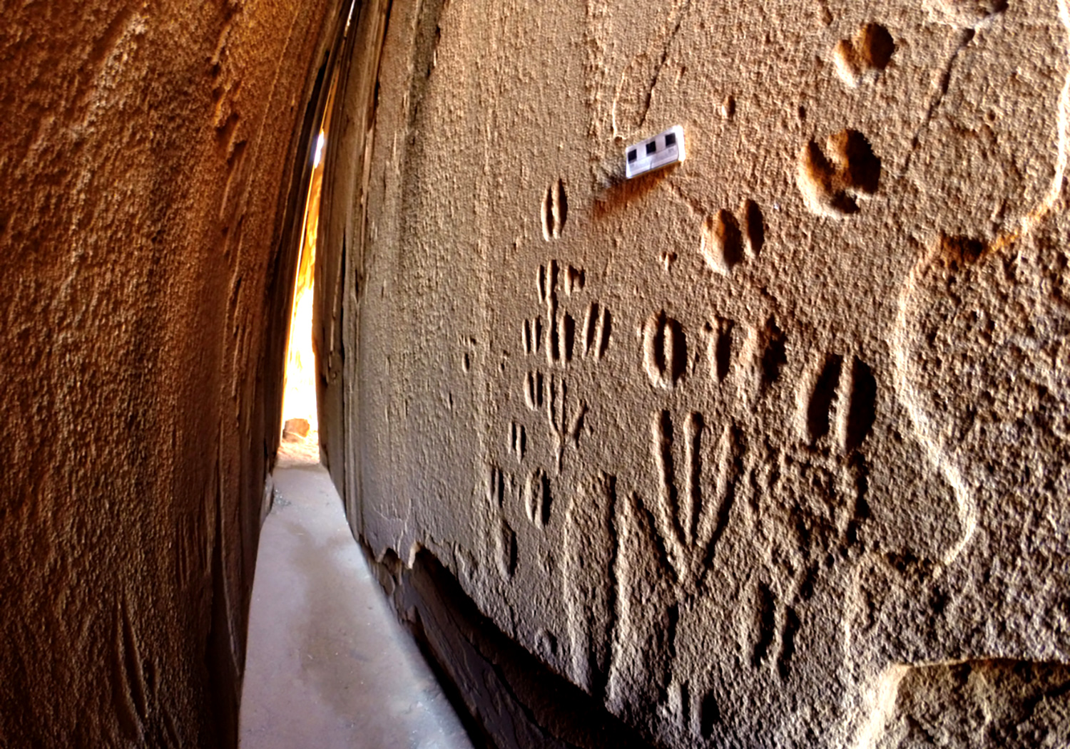 San trackers guide archaeologists in unlocking secrets of ancient human spoor and rock art in Namibia 