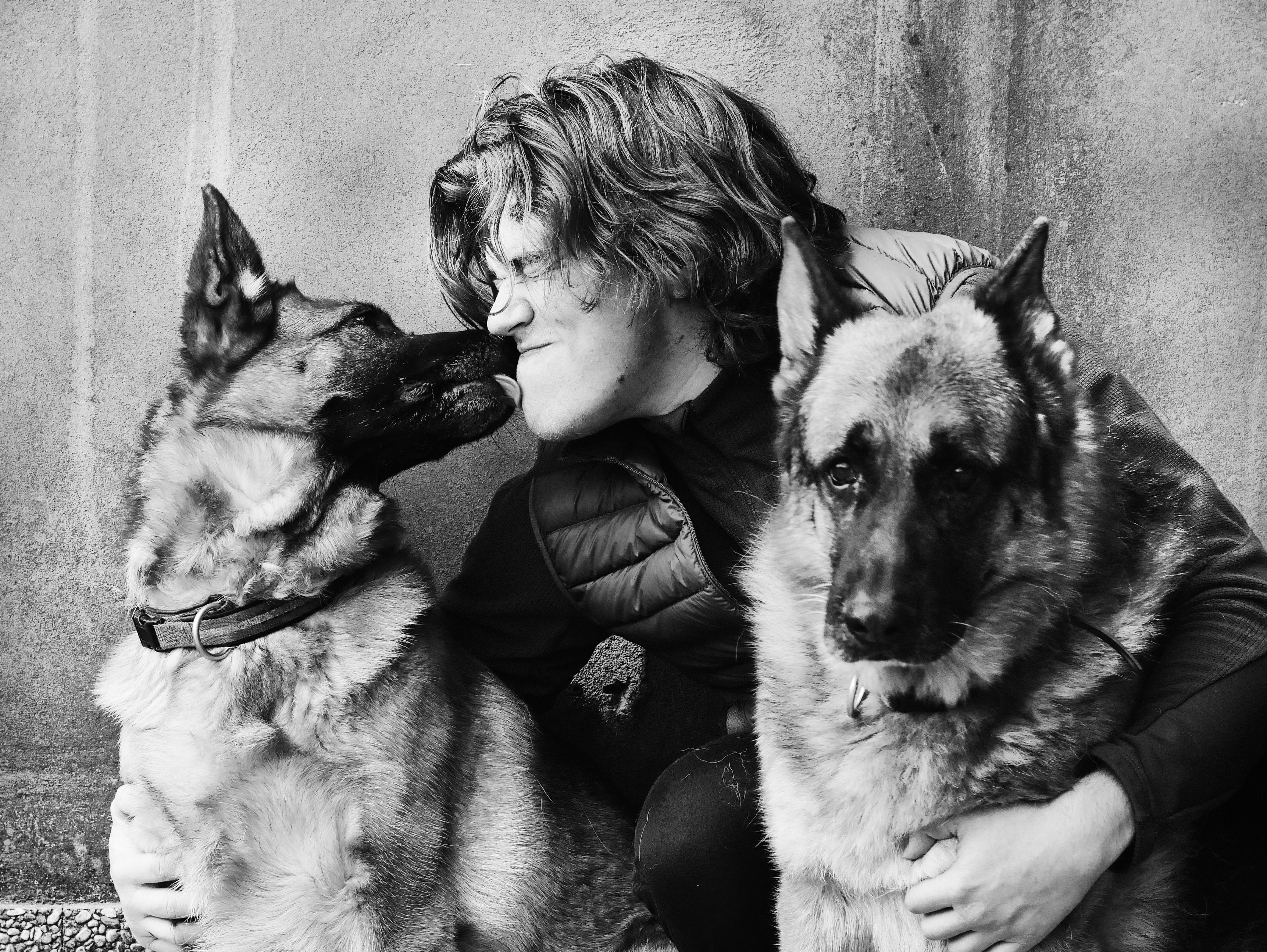 Is it okay to kiss your pet? The risk of animal-borne diseases is small, but real