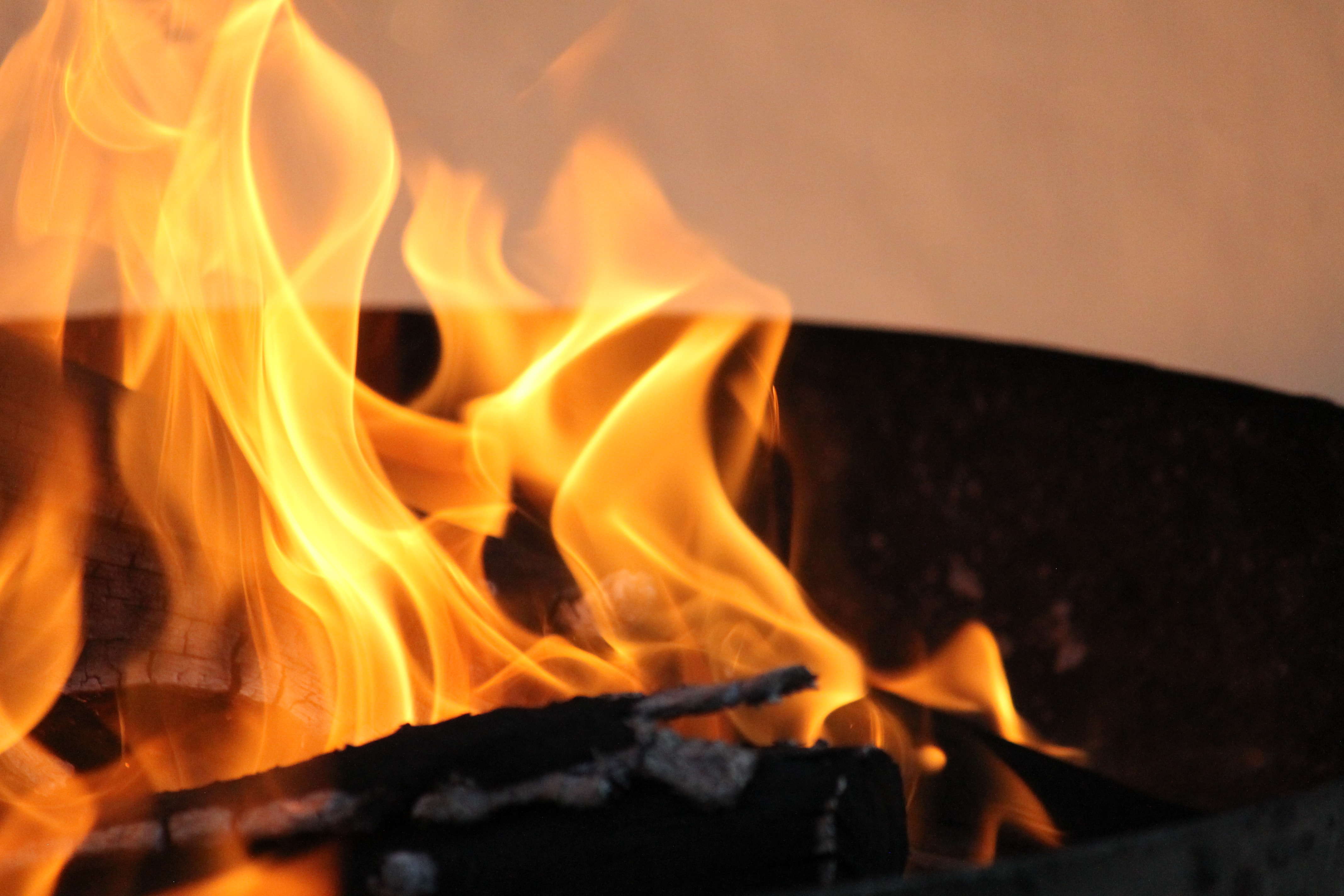 Lamb, fish, salads & braaibroodjies – 10 recipes for Heritage Day