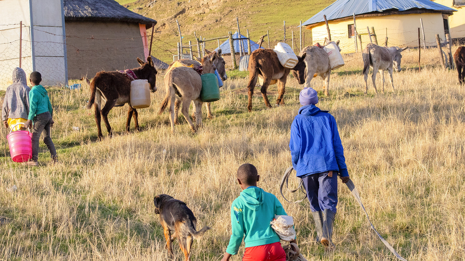 Service delivery collapse: ‘Gatvol’ Eastern Cape resident reports provincial-wide failures