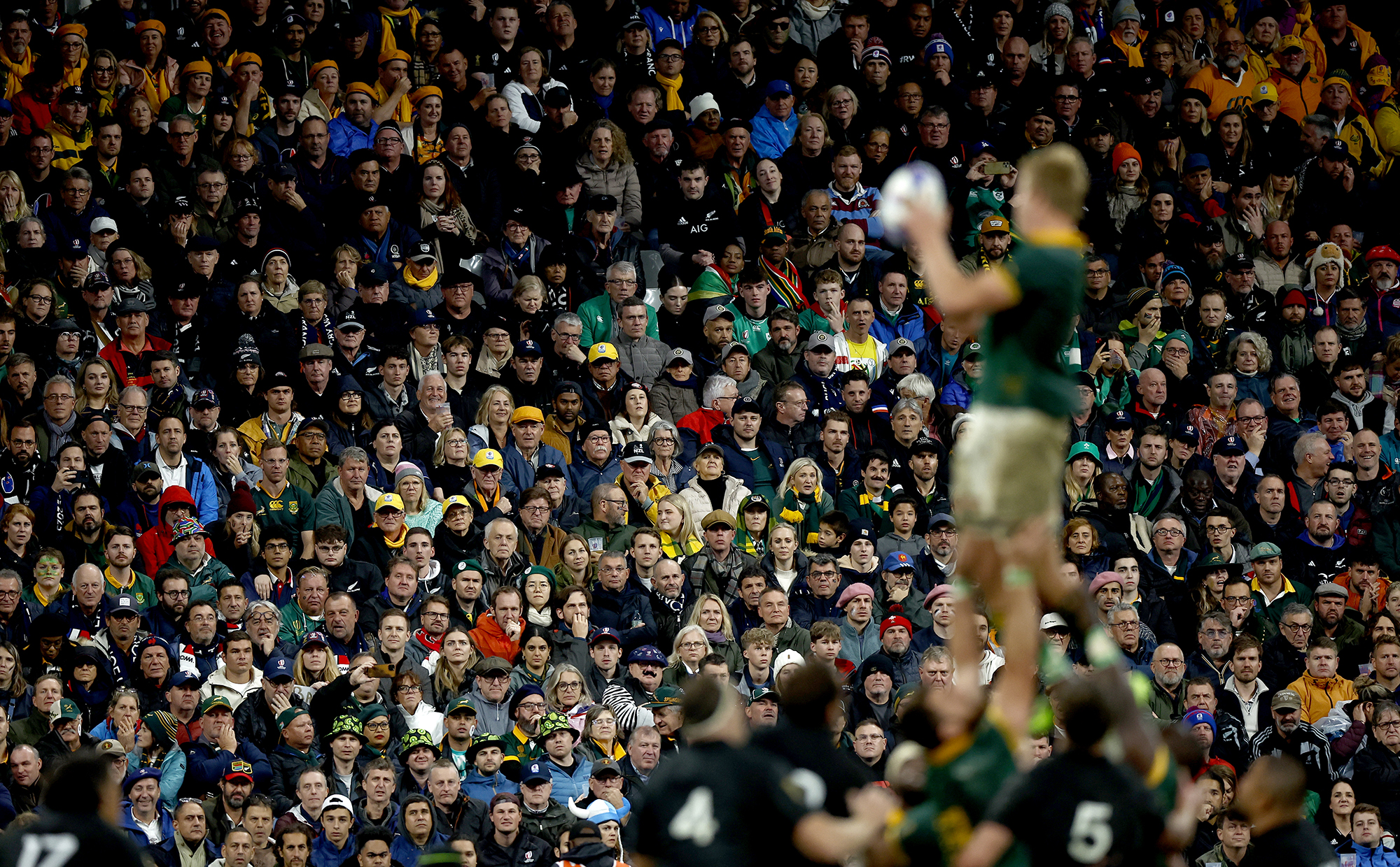 A one-time aspirant Springbok reflects on the significance of our victory — Part One