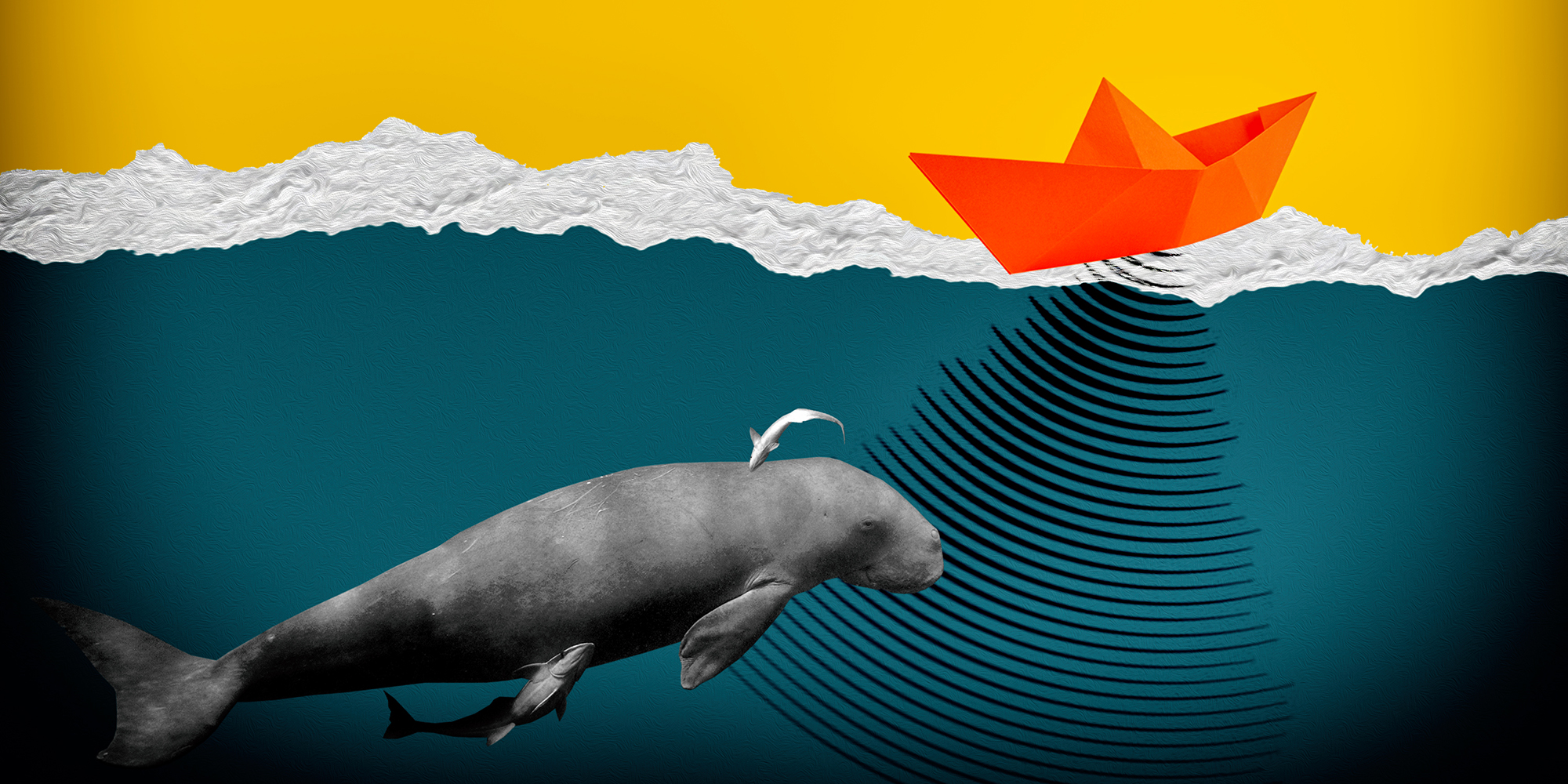 Oil and gas hunters target the last refuge of east Africa’s vanishing dugongs