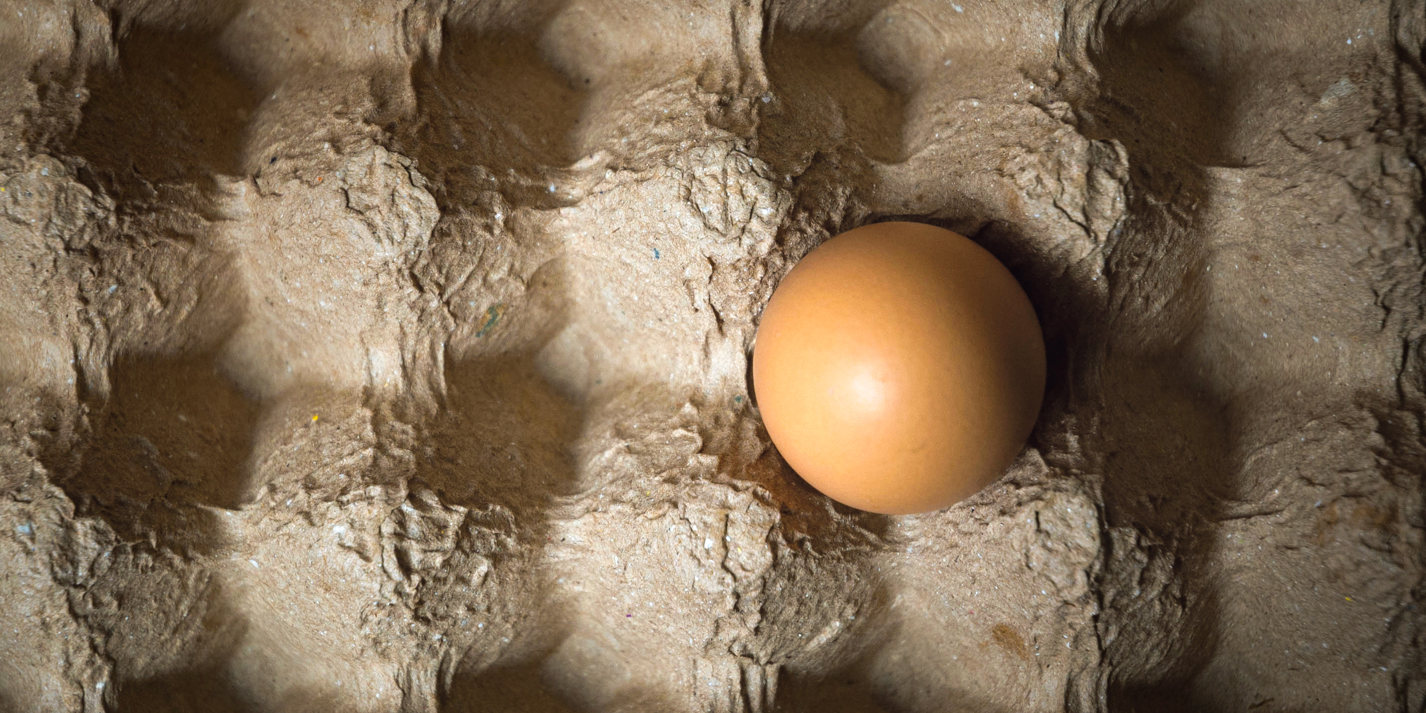 Poultry producers bear crippling cost of avian flu as government accused of dragging its feet