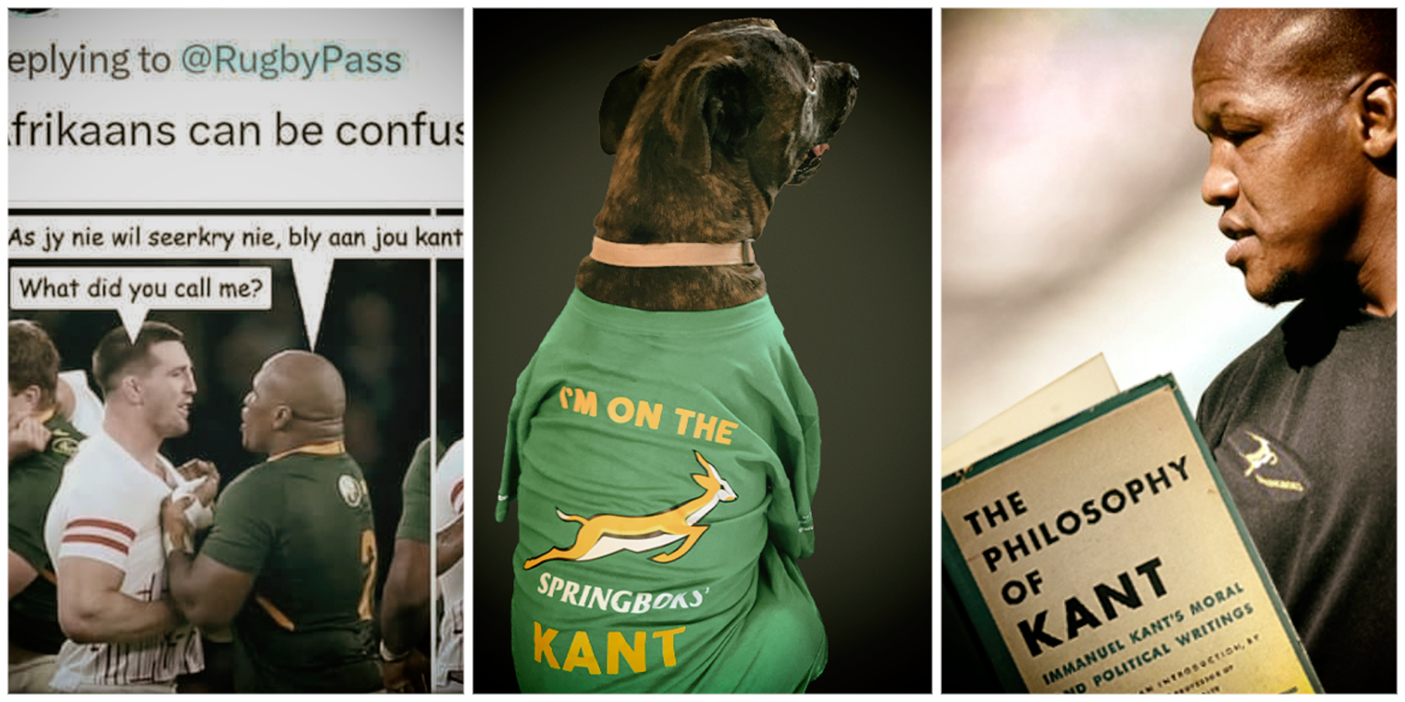 ‘Kantgate’ - hilarious South Africans keep us on the ‘regte kant’ of history