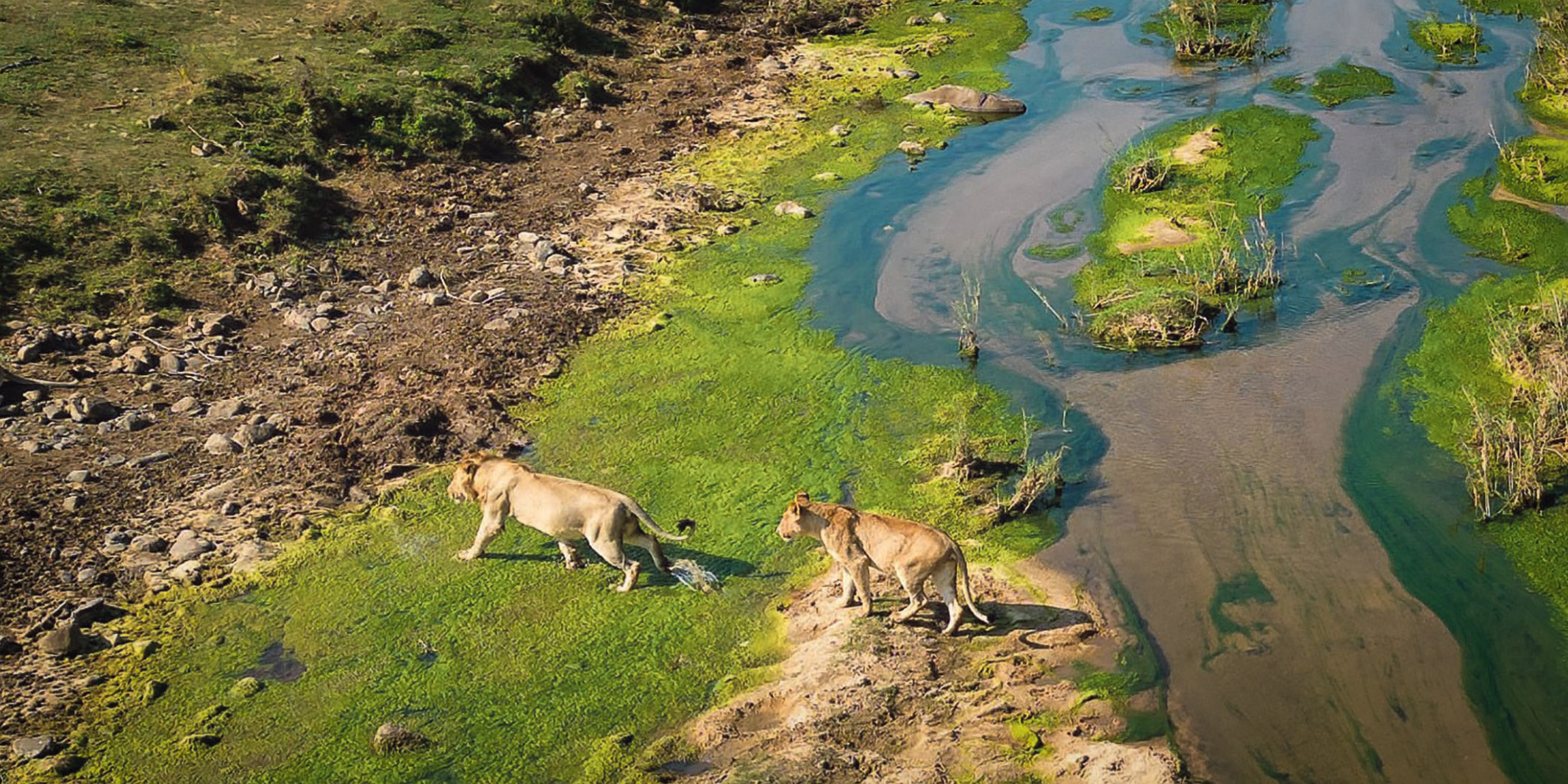 New push for coal mine on Kruger National Park boundary raises alarm