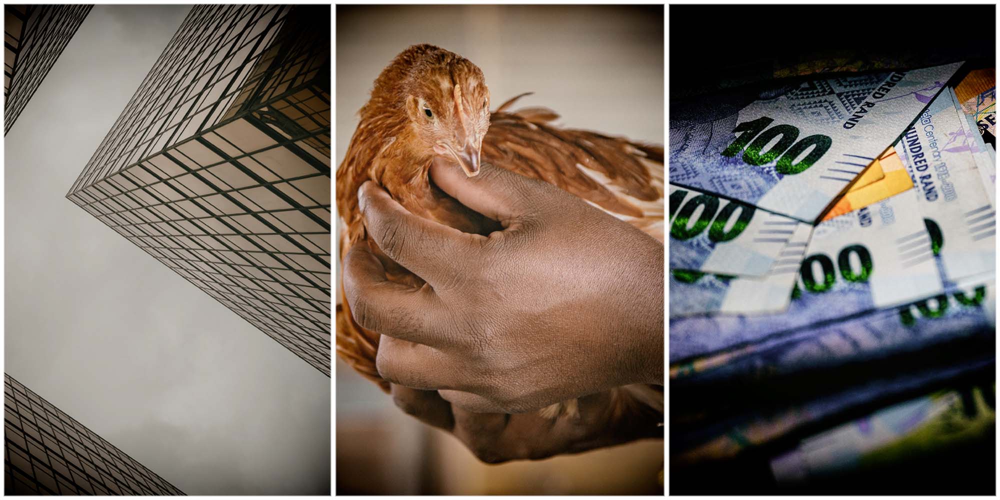 The Finance Ghost – the lowdown on the chicken crisis, Bytes and Texton