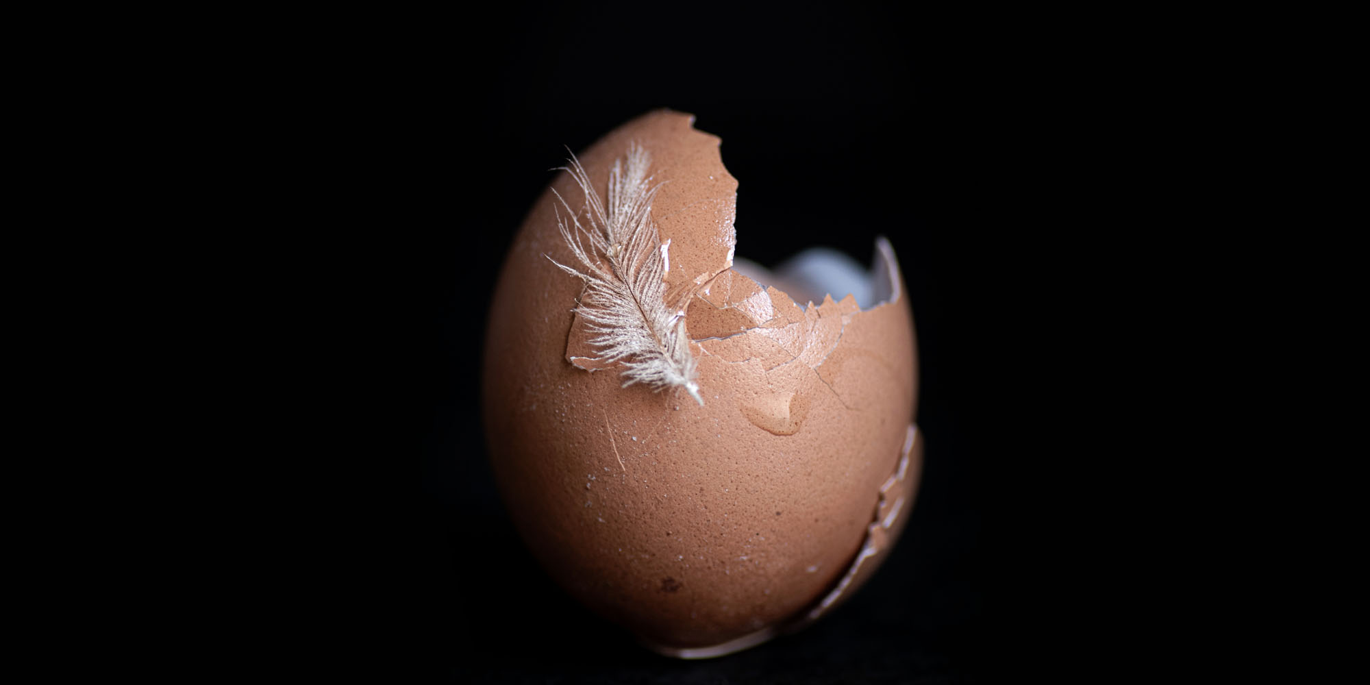 Government considers vaccinations as avian flu outbreak triggers egg shortages