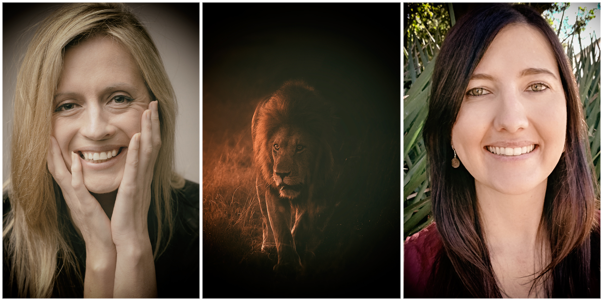 Top scientists make $3bn plea to rich nations to help conserve Africa’s lions