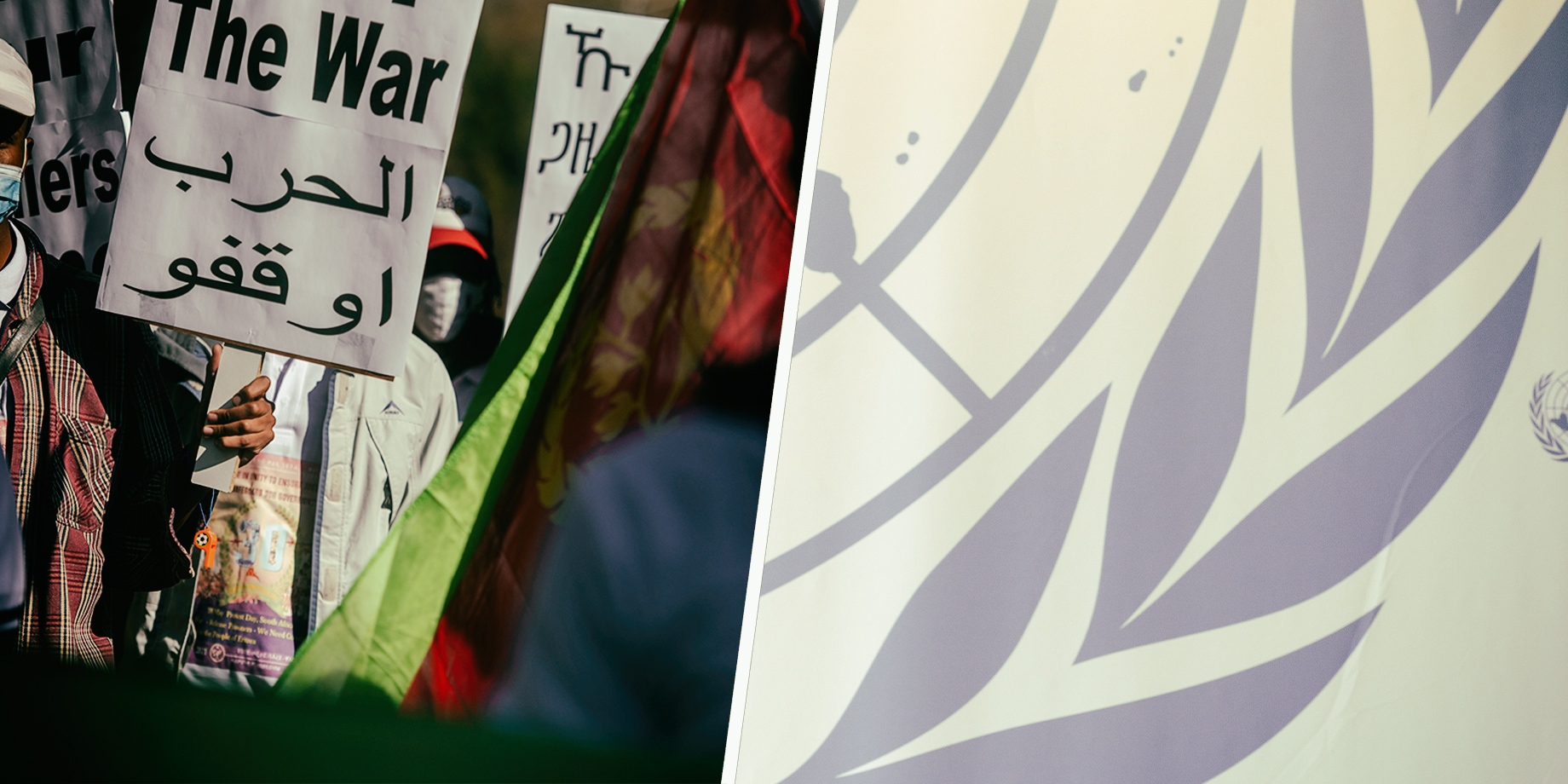 Don’t mention the war: Organisation investigating human rights abuses in Ethiopia shut down