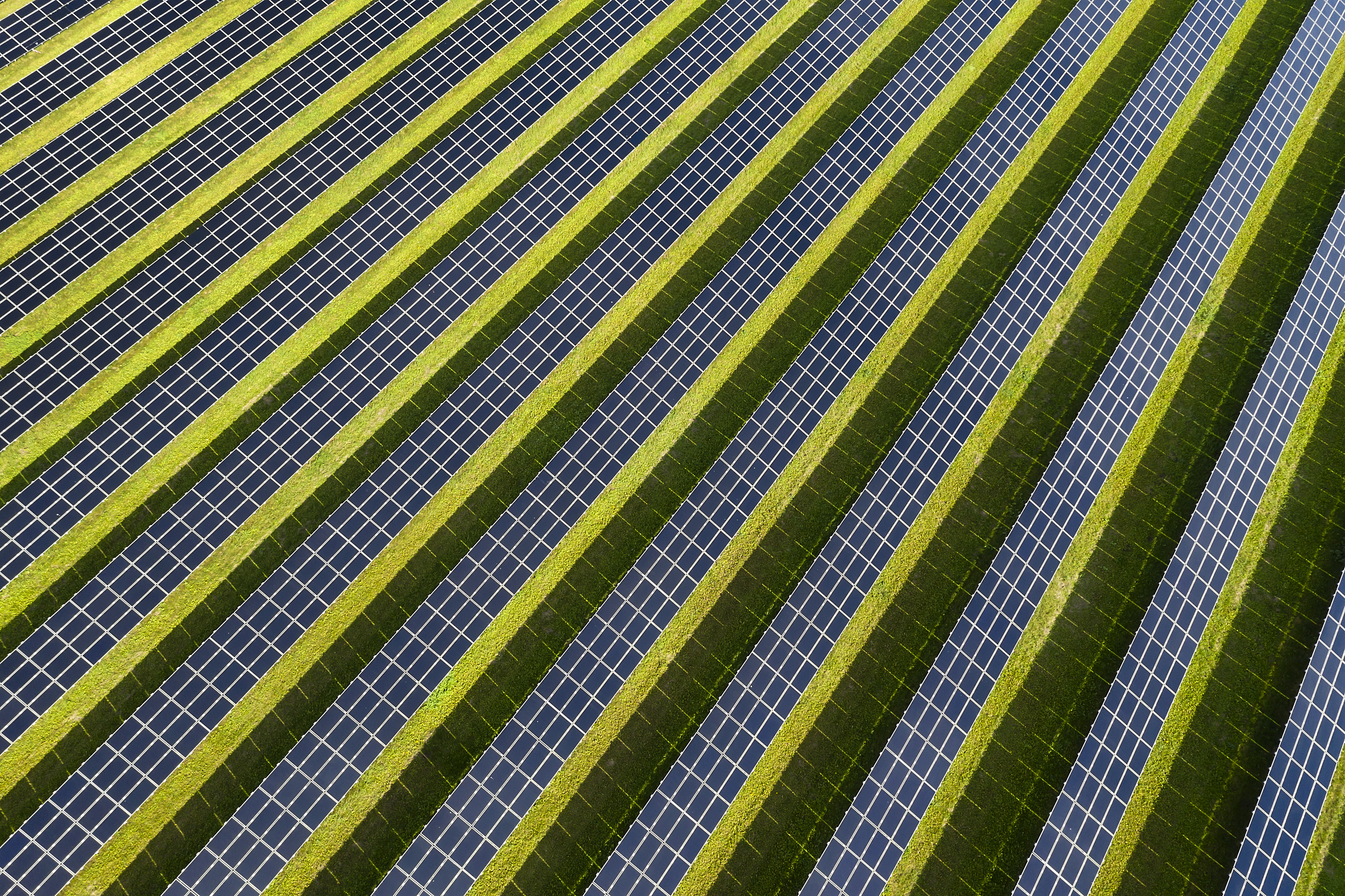 Solar Panels Viewed from Above