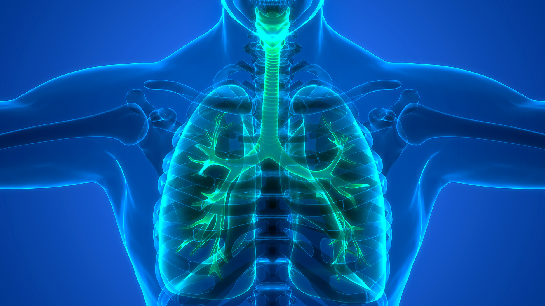 This court case will literally determine who gets to breathe