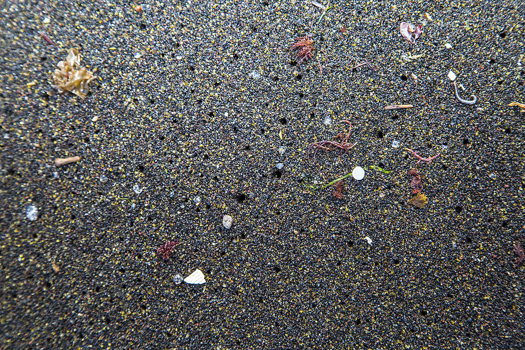 Microplastics can poison our health and living environment — here’s how to reduce our exposure to them