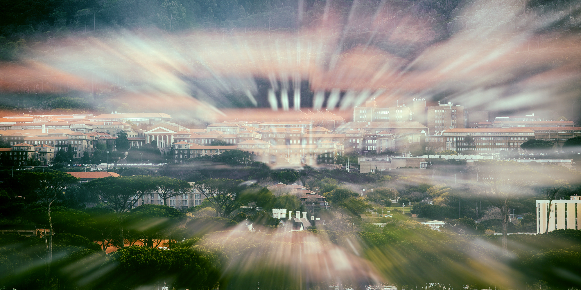 UCT Council receives report from panel probing governance concerns