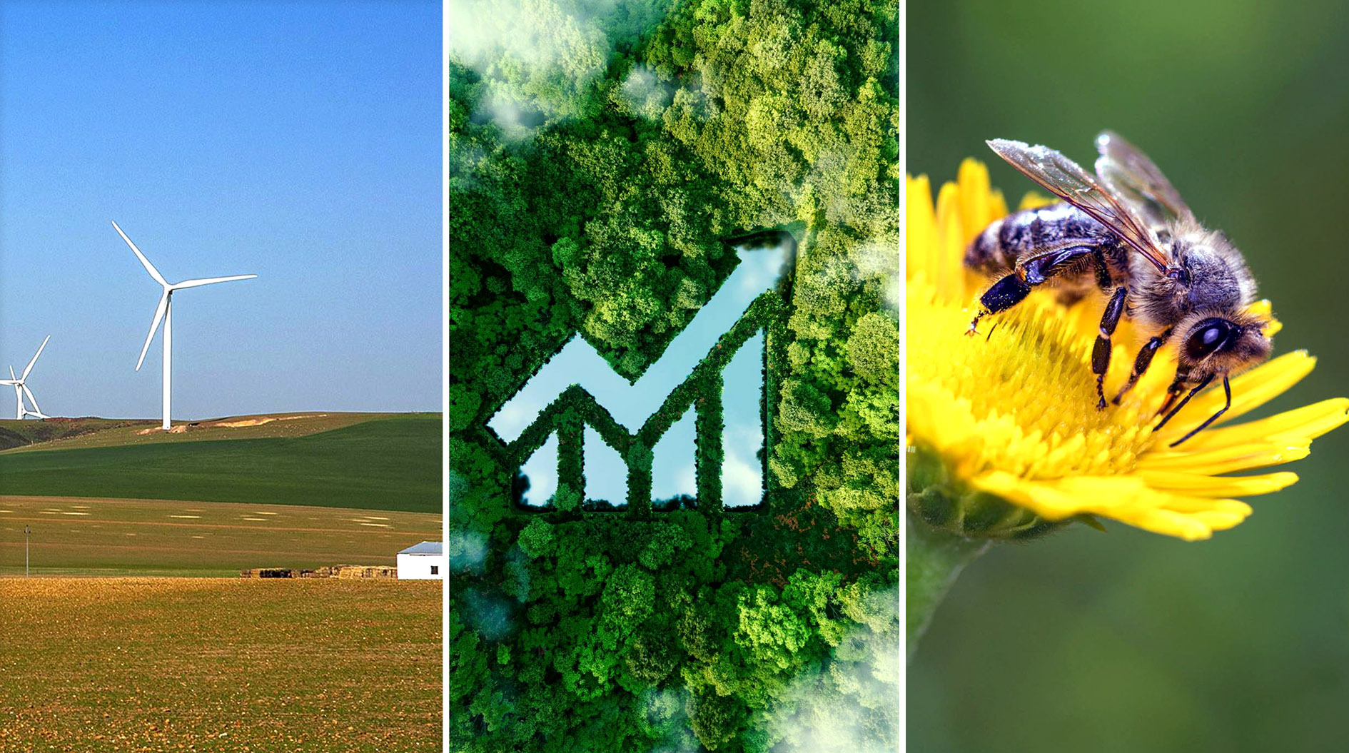 Five things to watch out for at COP’s biggest gathering yet, this time in Dubai