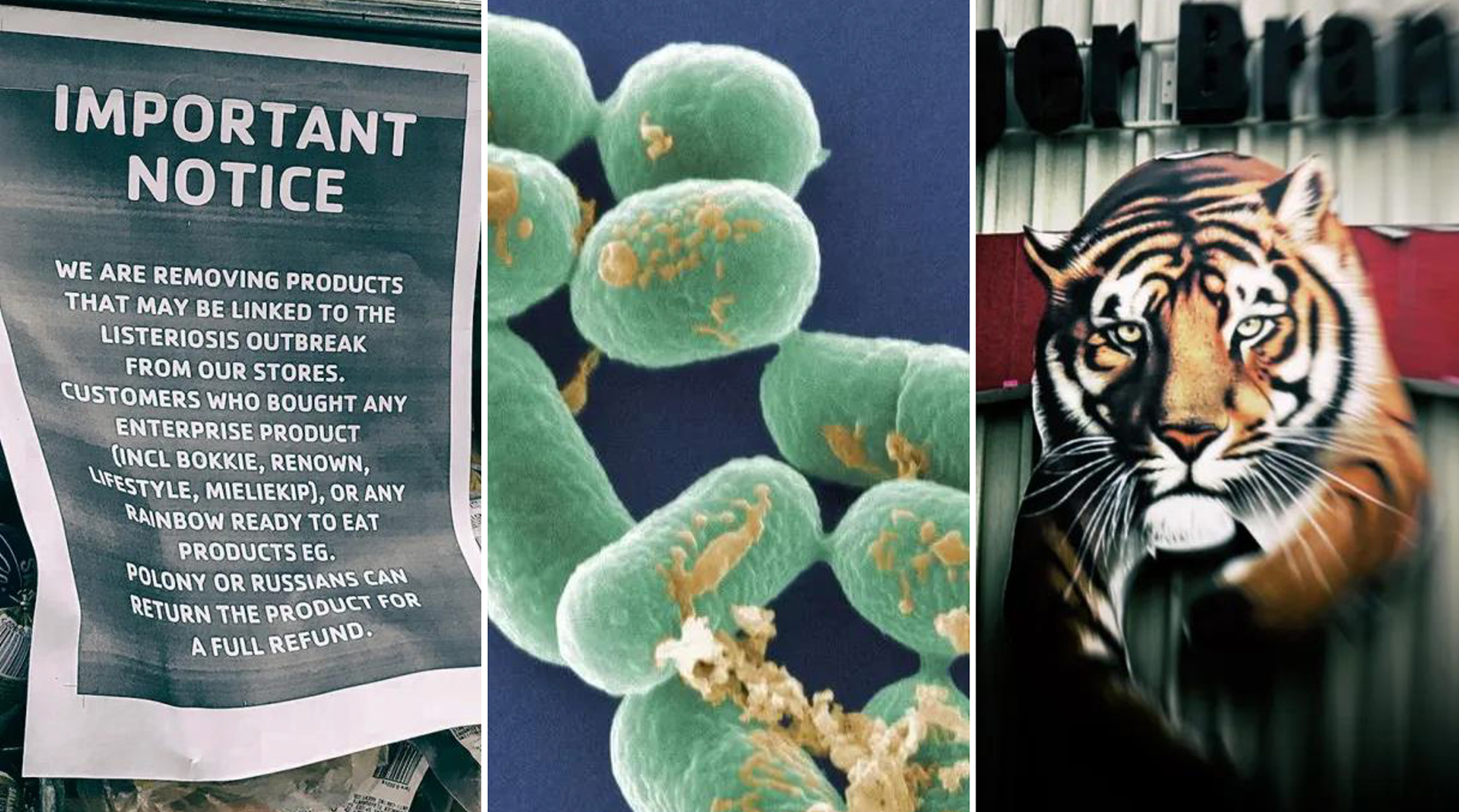 ‘I wouldn’t wish for anyone to experience this’ — the listeriosis outbreak and a mother’s heartbreak