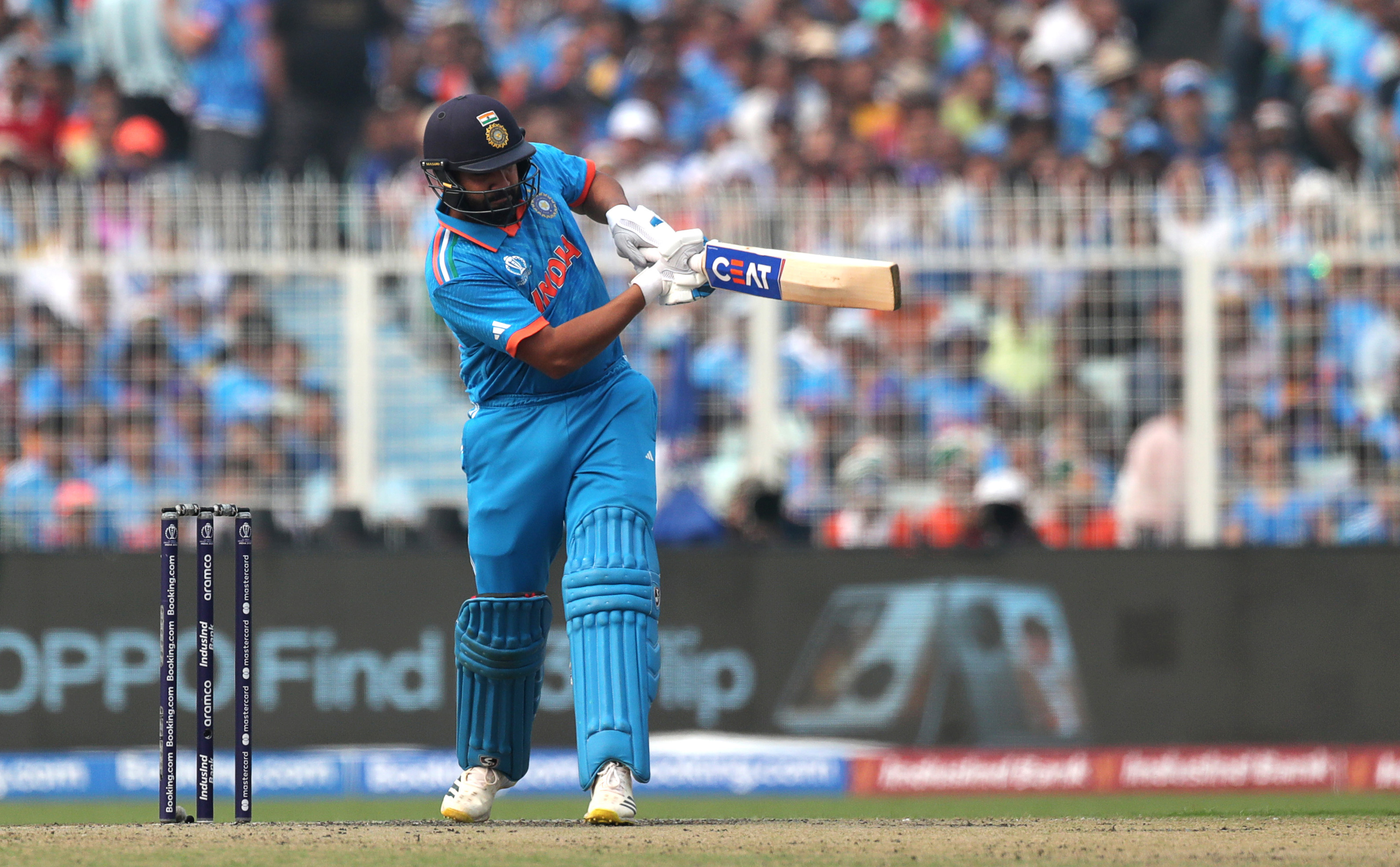 Resurgent Australia stand between unblemished India and World Cup glory