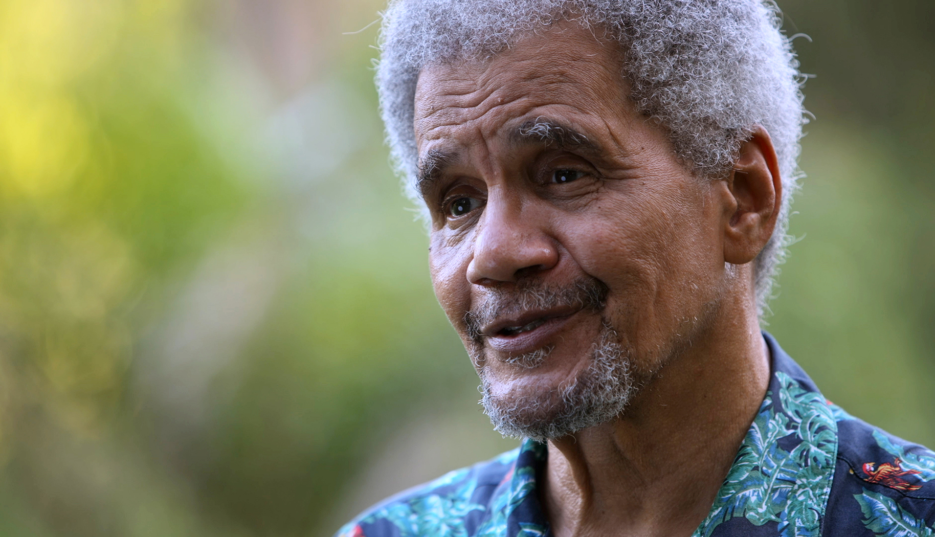 A ‘tiny patch of untouched forest’ in Lagos might be the key to conservation