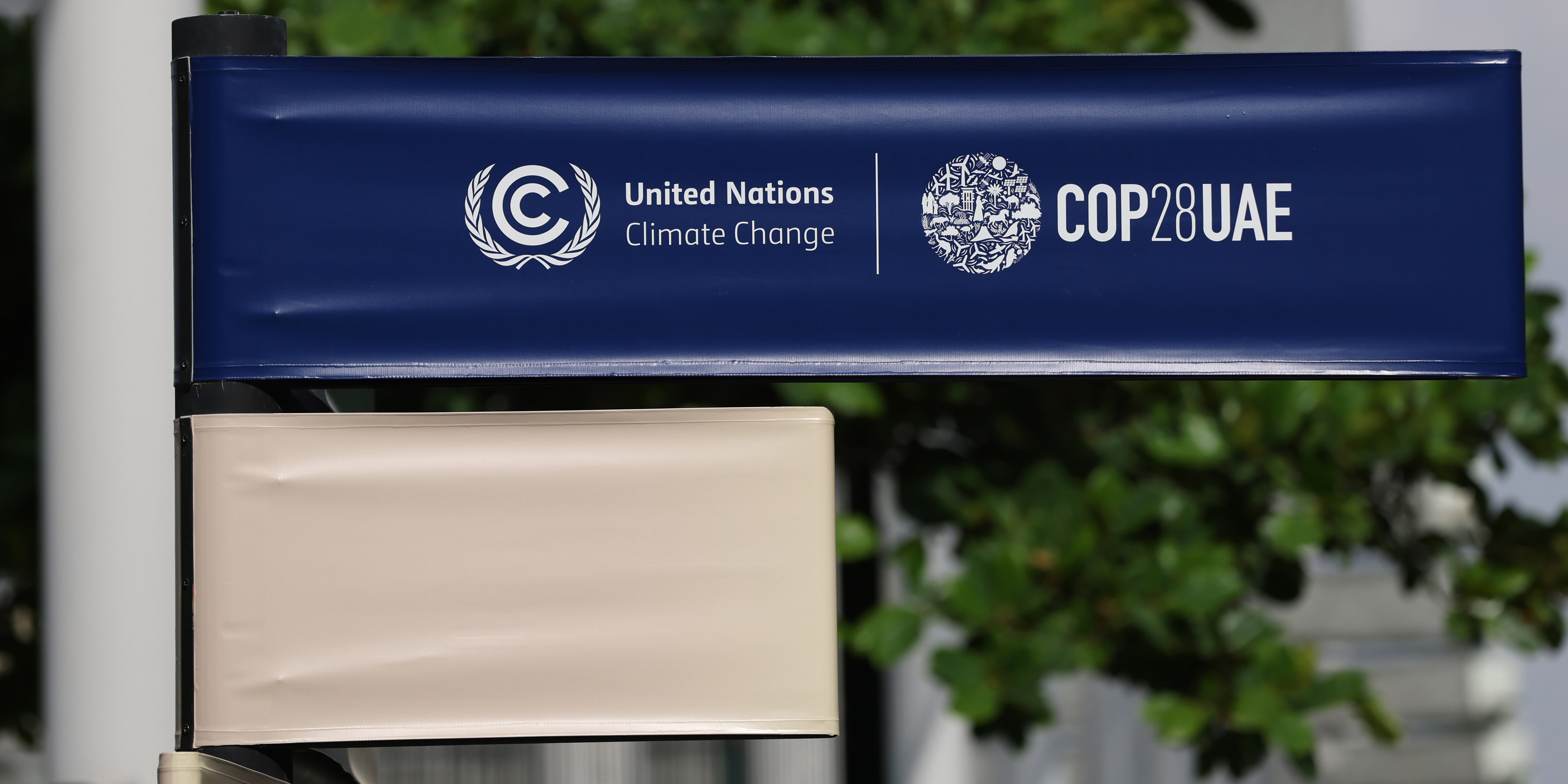 Africa’s COP28 wish list includes putting nature at the heart of common front solutions