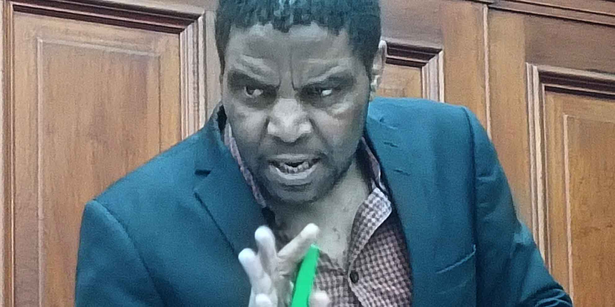 ‘My job was to burn down Parliament,’ Mafe testifies, claiming he’s fit to stand trial