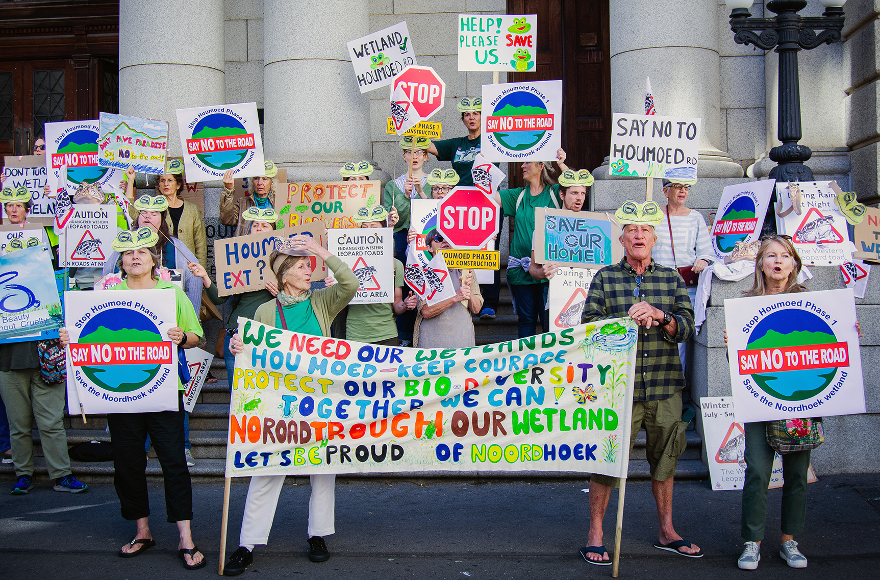 City of Cape Town taken to court over proposed road that threatens endangered toads