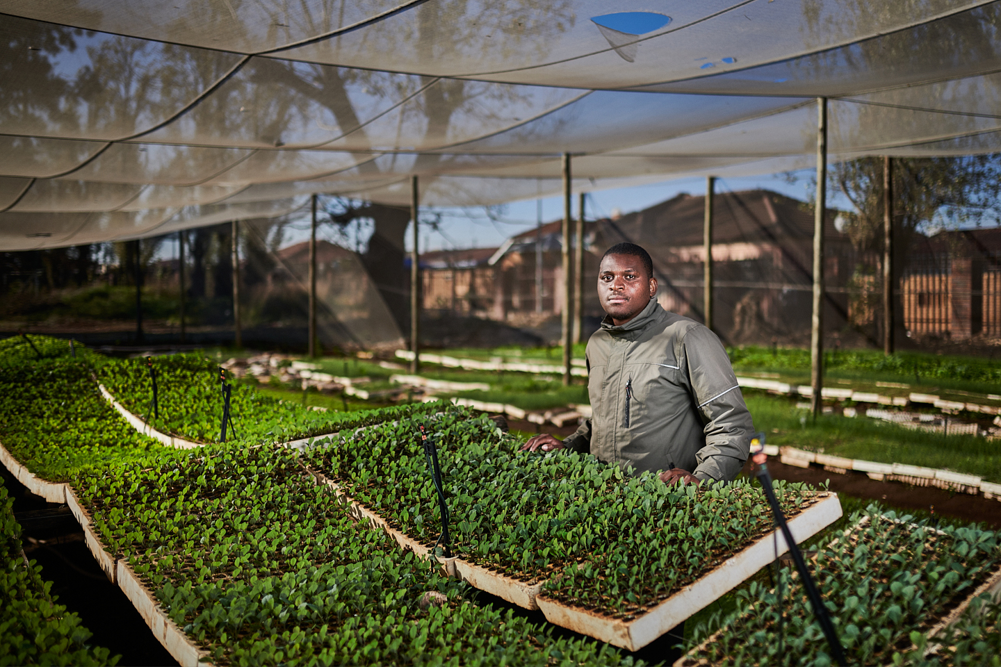 A generous gesture helps Soweto residents to put healthy food on the table and boost a local economy