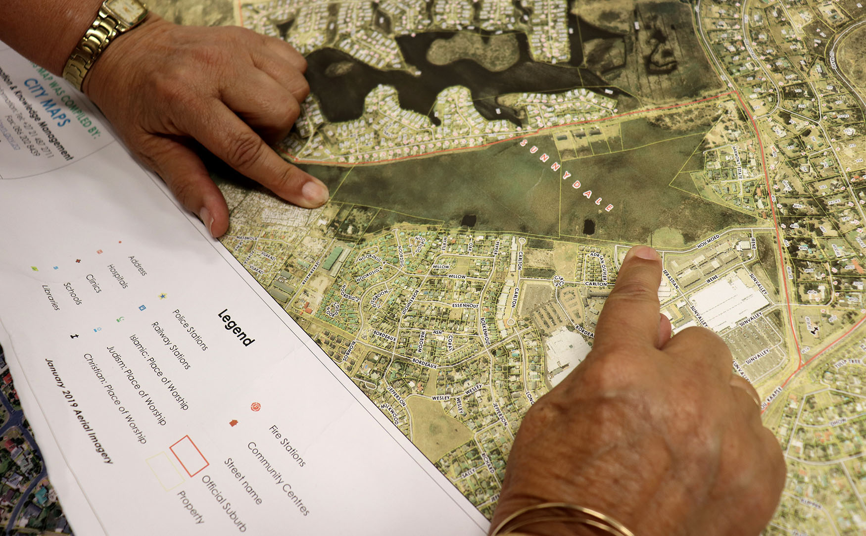 Is an access road through a township more important than the western leopard toad?