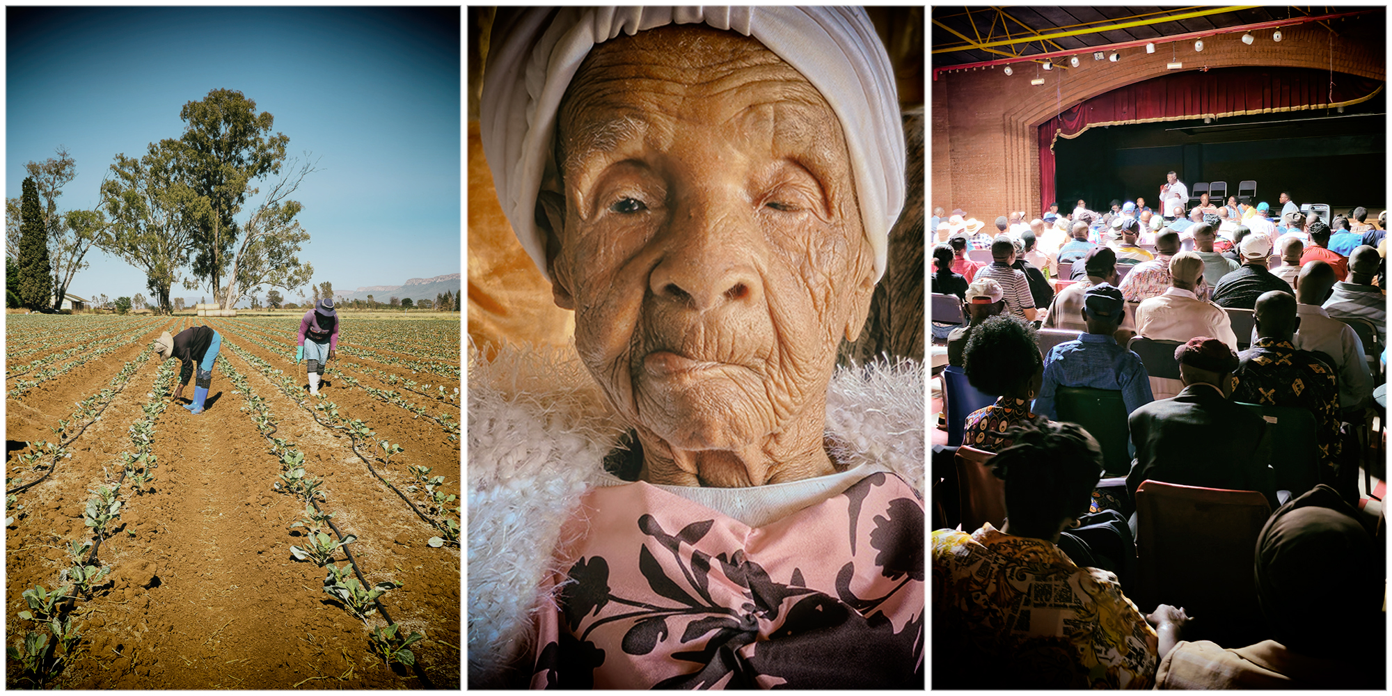 R462m ‘megafarm’ land reform project in disarray after North West department fails to release funding