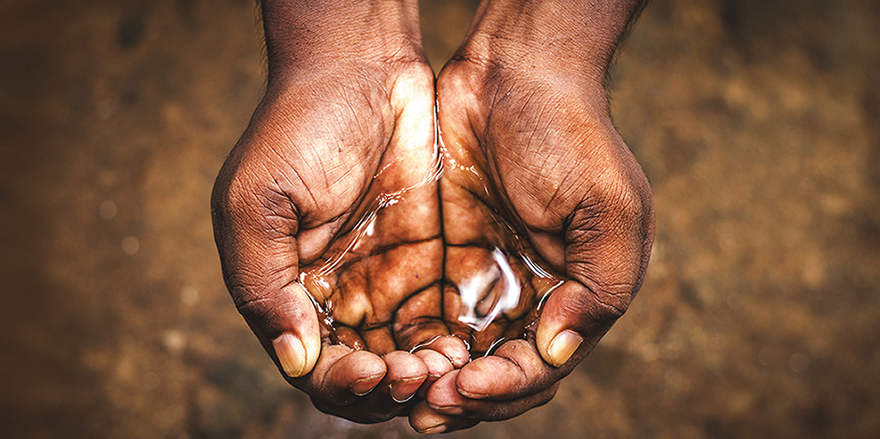 Poison on tap — South Africa needs to get its act together on herbicides and pesticides, experts warn