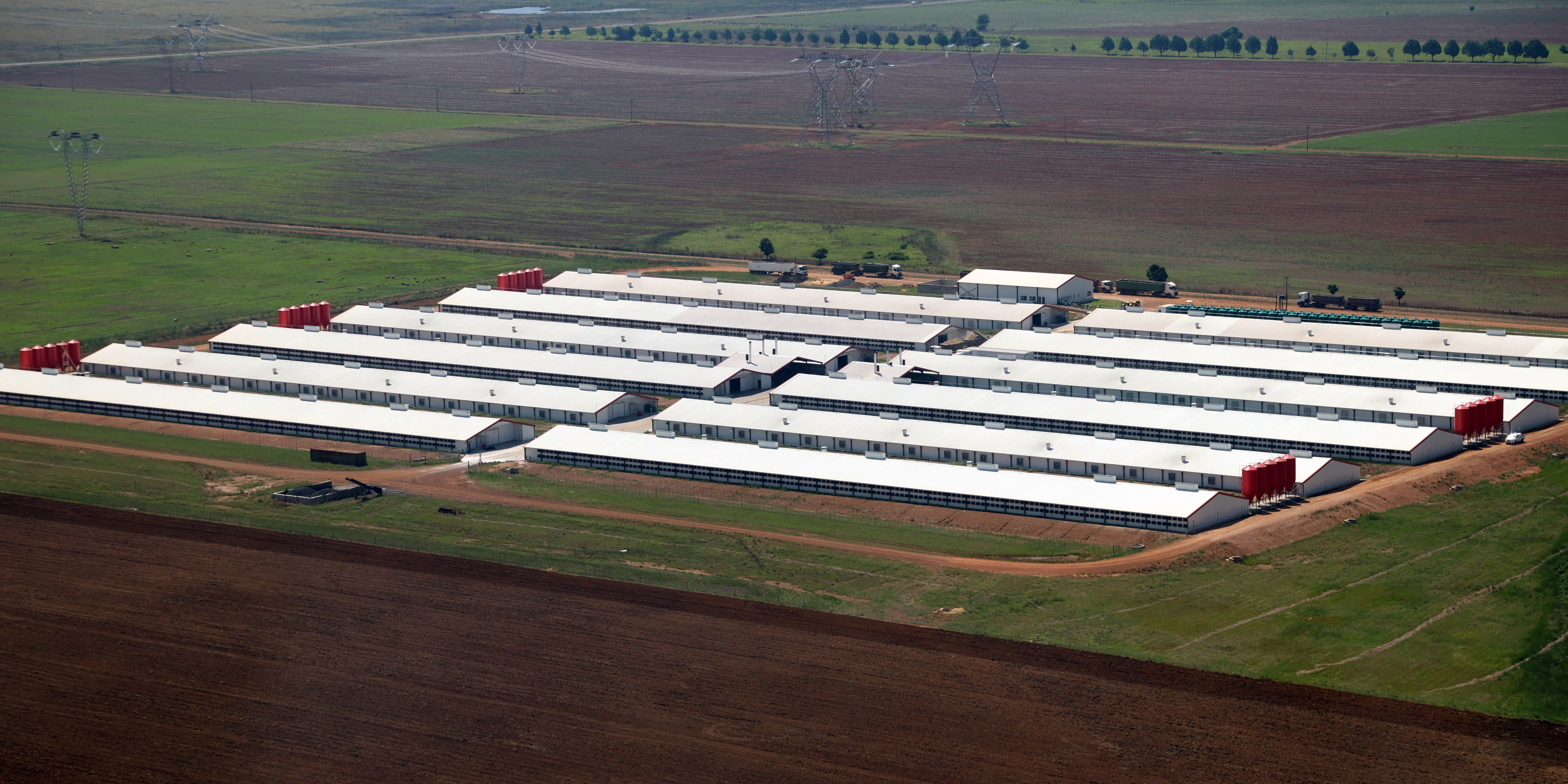 Agriculture department denies it’s imposing race-based quotas on exports