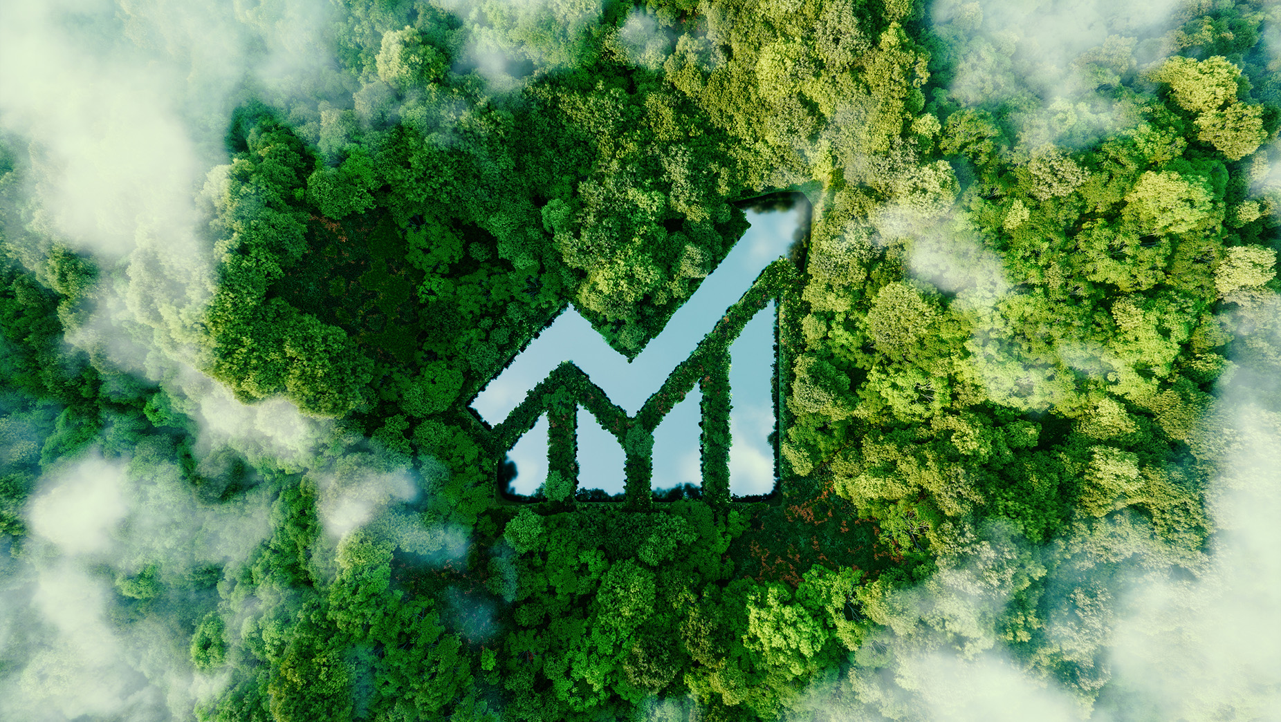 The road to COP28 — key debates and expectations for South Africa