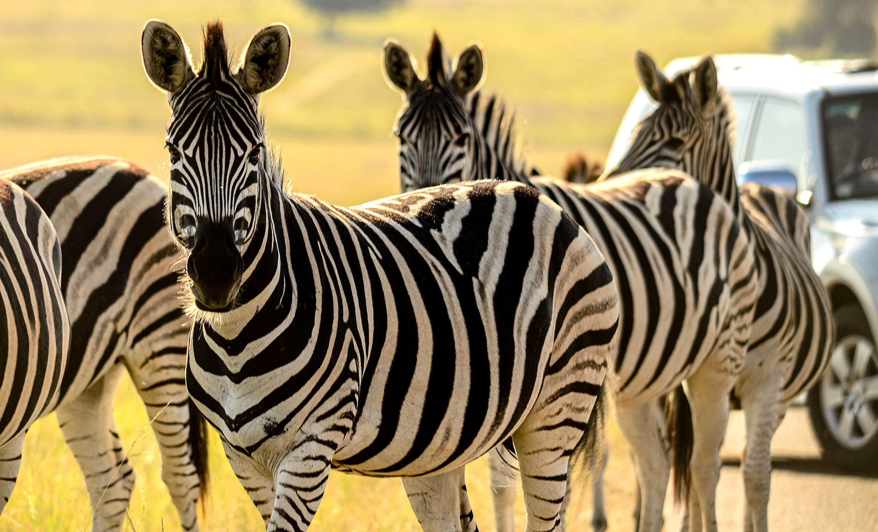 Gwede MIA again while ecologically important Rietvlei and surrounding communities at risk