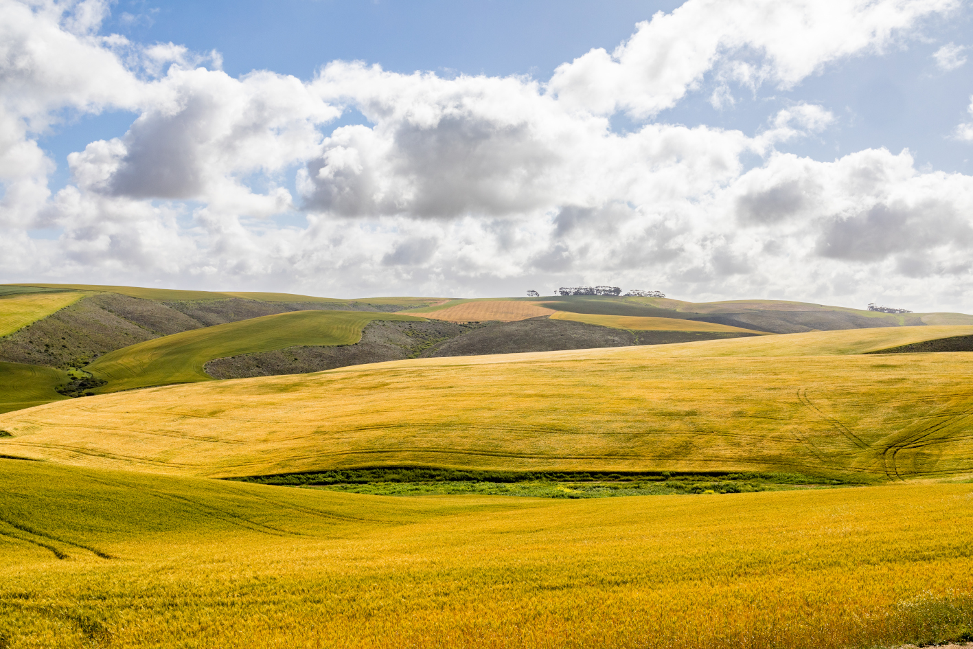 Overberg gold mining fears allayed for now as Cienth misses Environmental Impact Assessment deadline