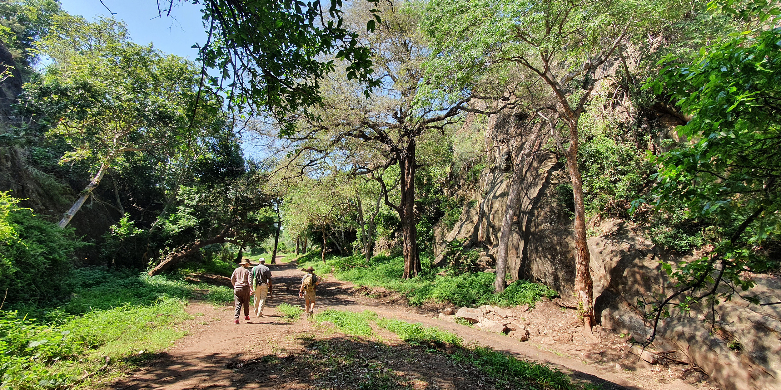 Walking with the golden ancients — following footsteps through time and civilisations in Pafuri Triangle