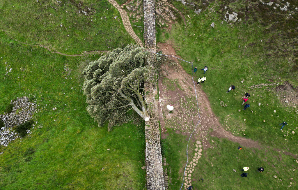 'Sycamore Gap' Tree At Hadrian's Wall Felled Overnight