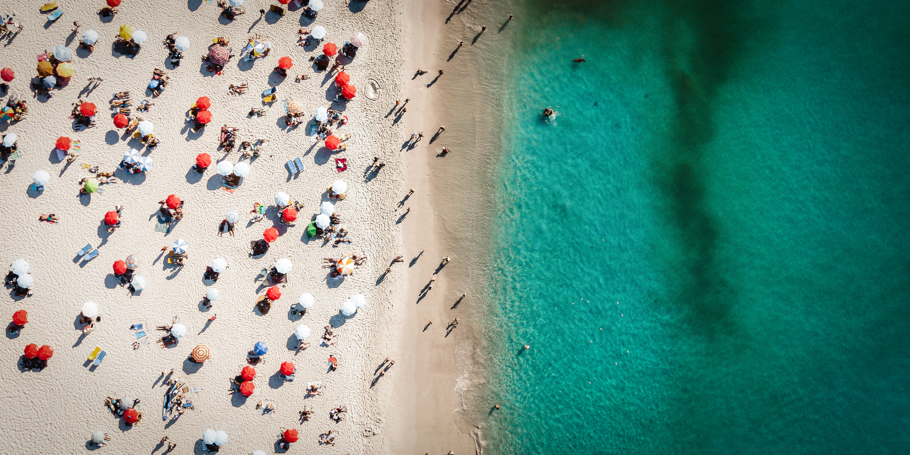 As the holiday season approaches, enjoy our dollops of brain-nourishing food for thought