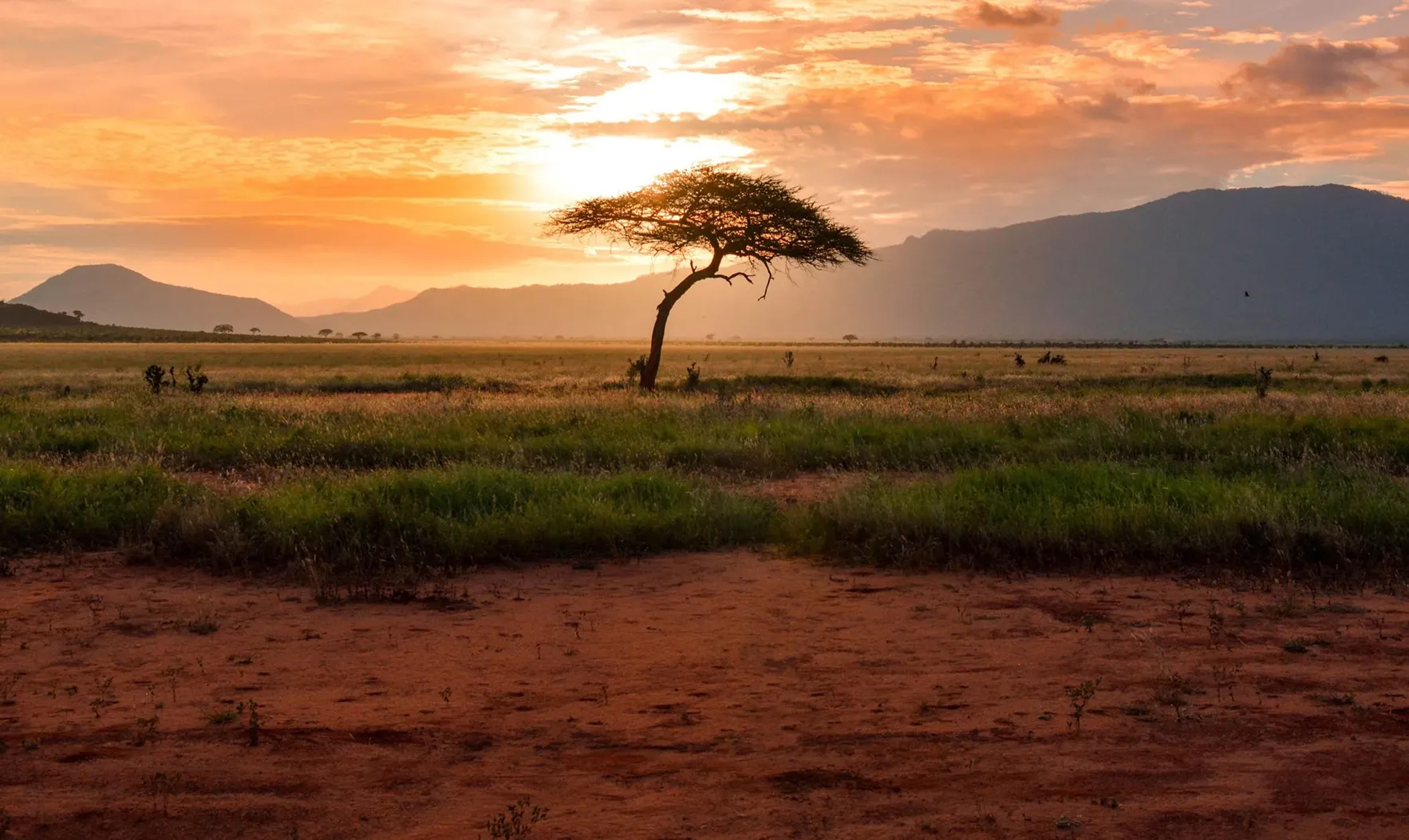 Humanity is on the verge of 5 climate ‘Tipping Points,’ report warns