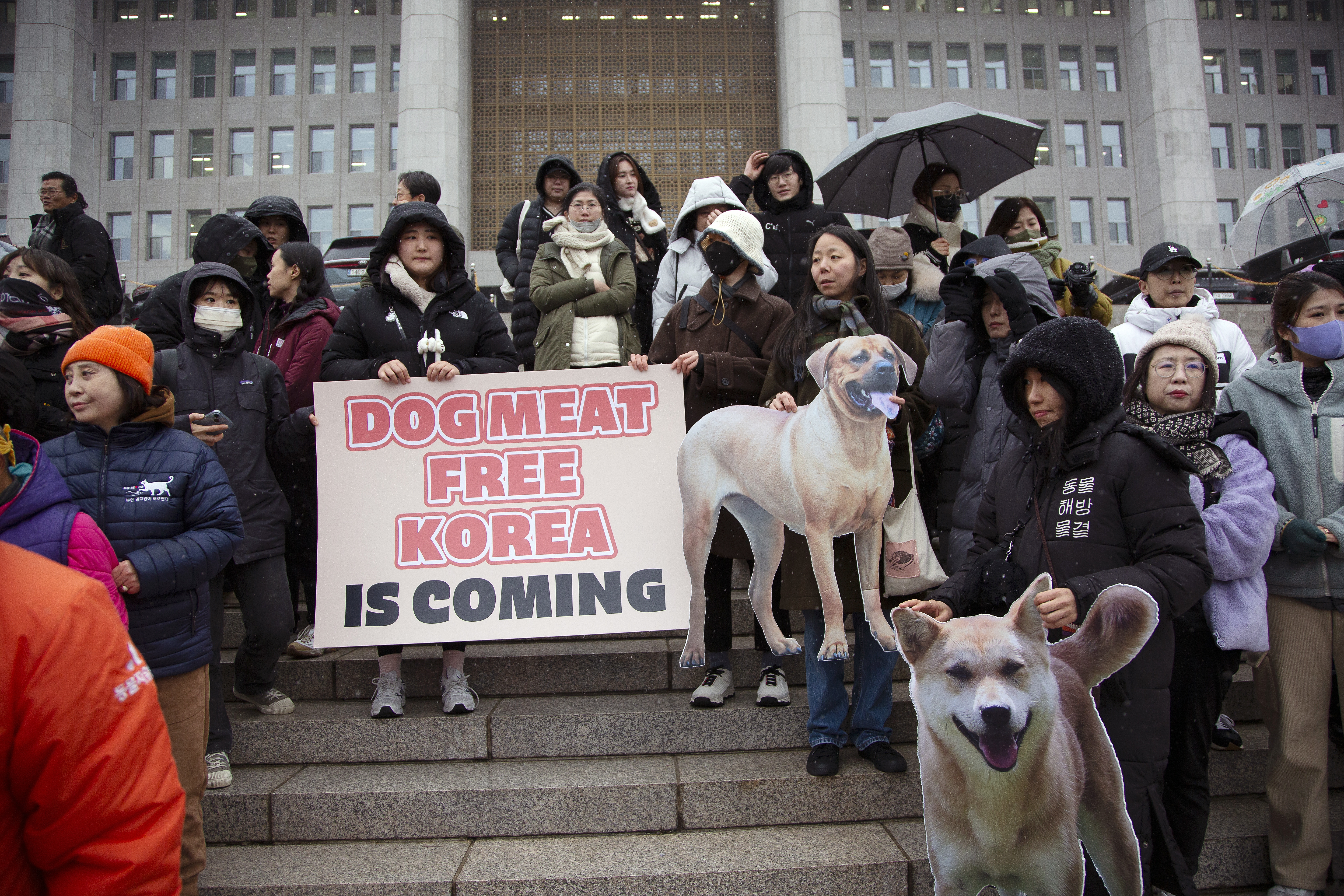 Reaction as South Korea passes law banning dog meat trade