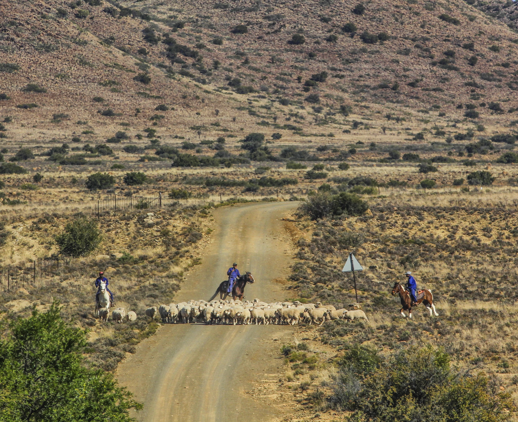 Moving to the Platteland: The magic of small-town living