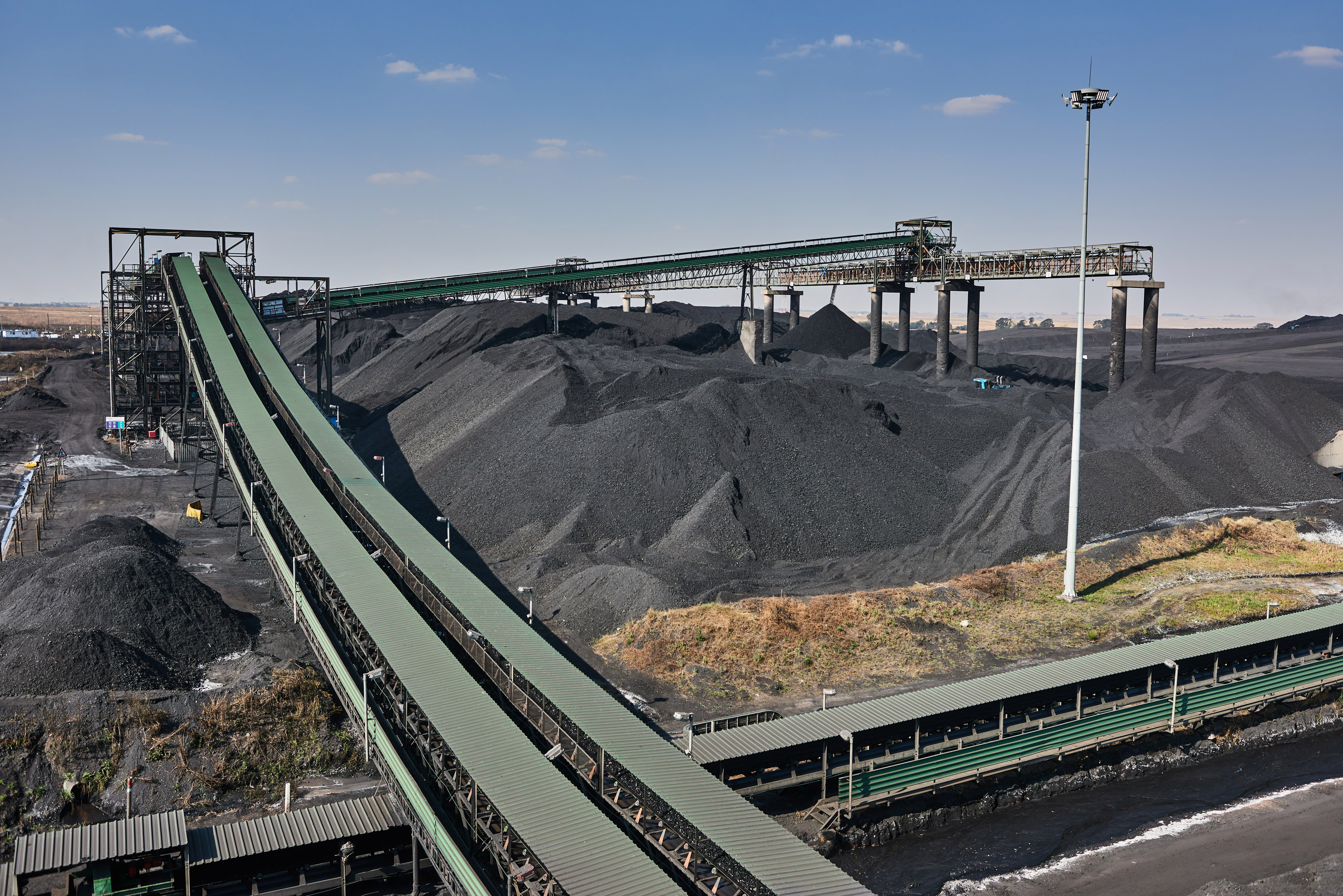 Loaded for Bear: DMRE’s tardy excuses for applications shambles underscore its dysfunction