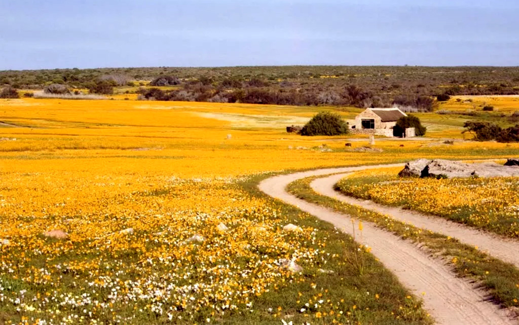 Agritourism has power to establish rural South Africa as a hot tourist destination too