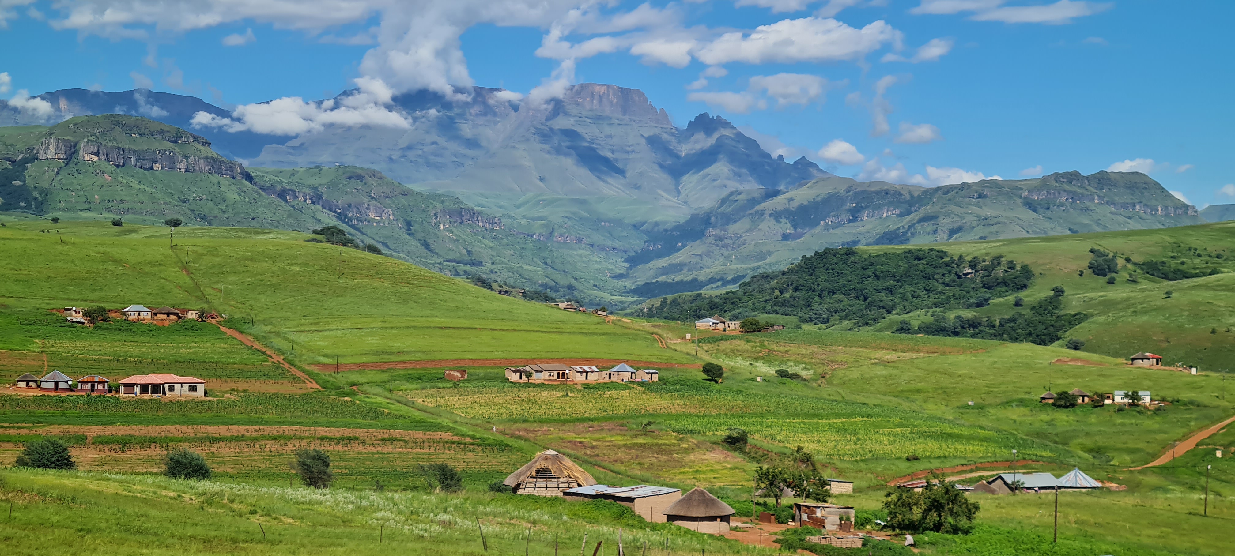 P4U_readersubmission_20240126