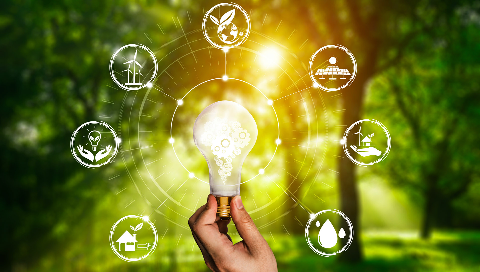 Powering Up: Renewable energy – every little bit helps