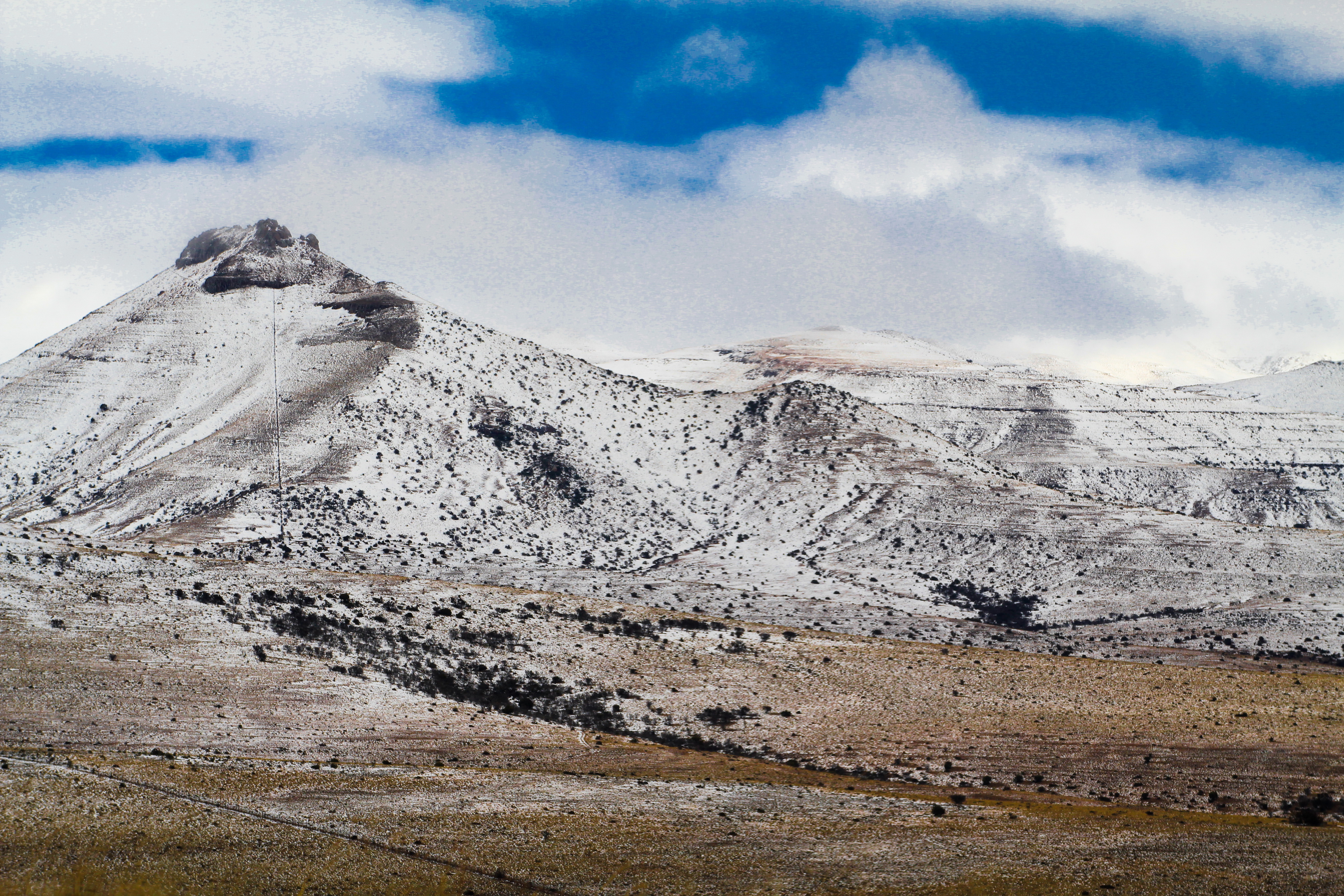 Karoo Oddities (Part One) — snowmen, spooks, willy warmers and a resurrected Barbie-Q