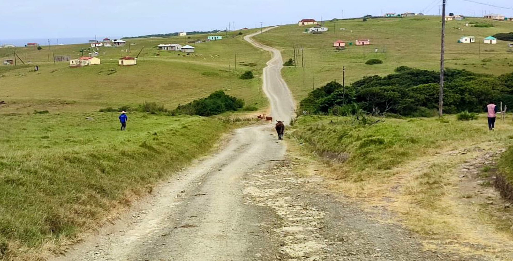 Grader sent to save Eastern Cape’s vital Mazeppa Bay Road breaks down