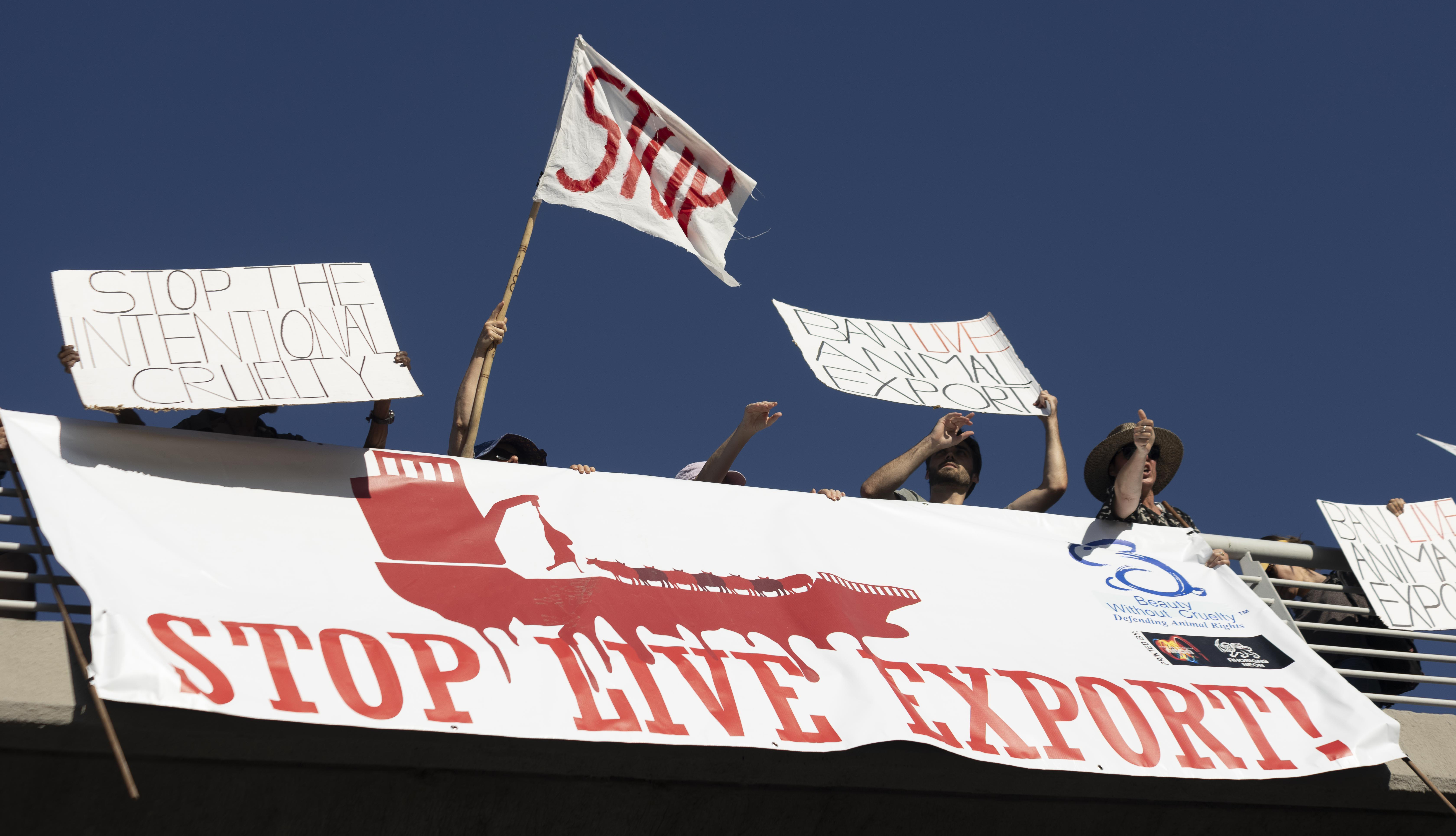 An animal rights abuse ‘death ship’ and a polluting coal mine